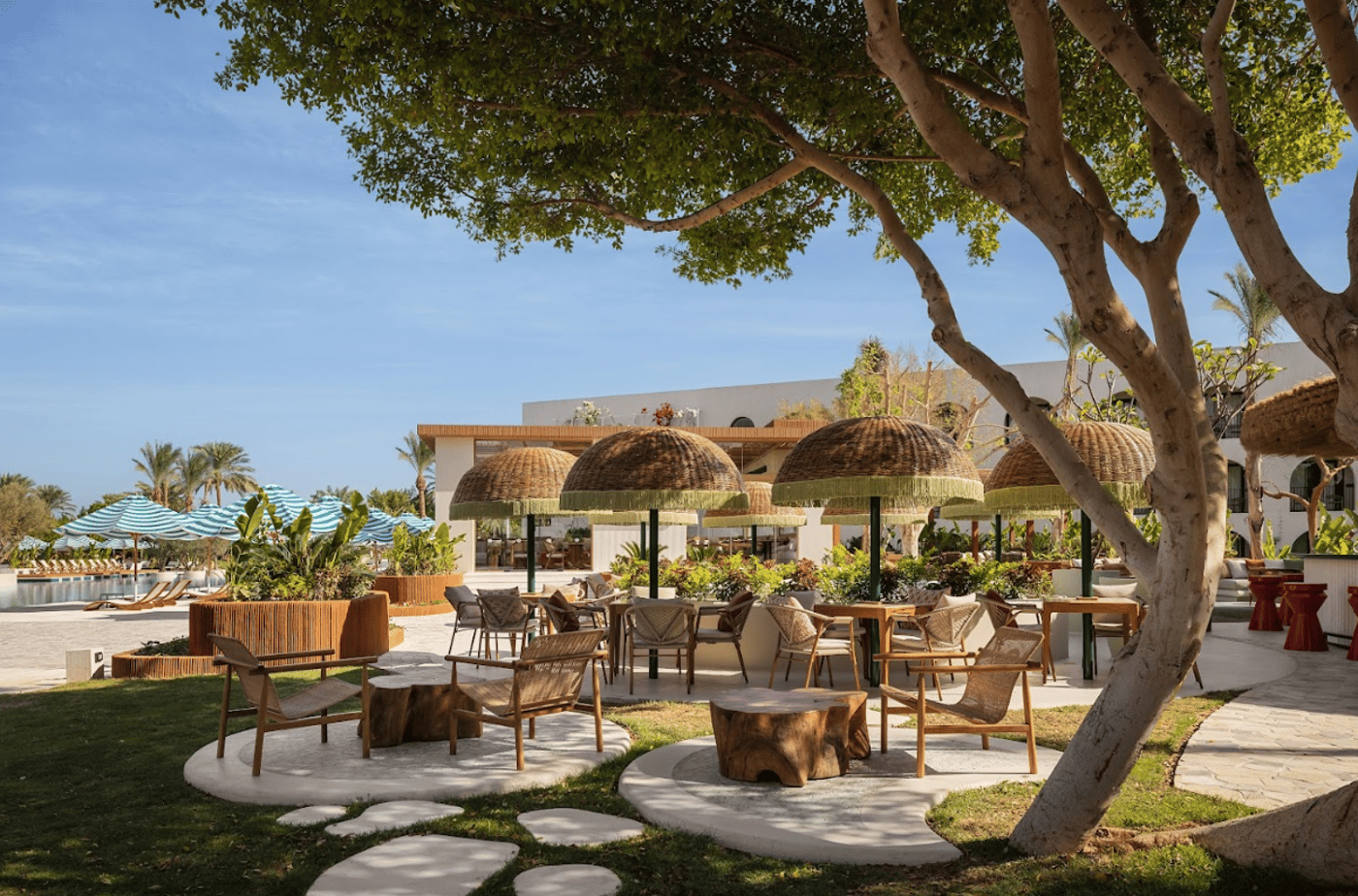 Desert Rose Hurghada 