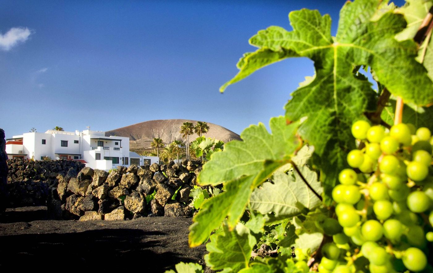 Finca-La-Florida-General-view-10