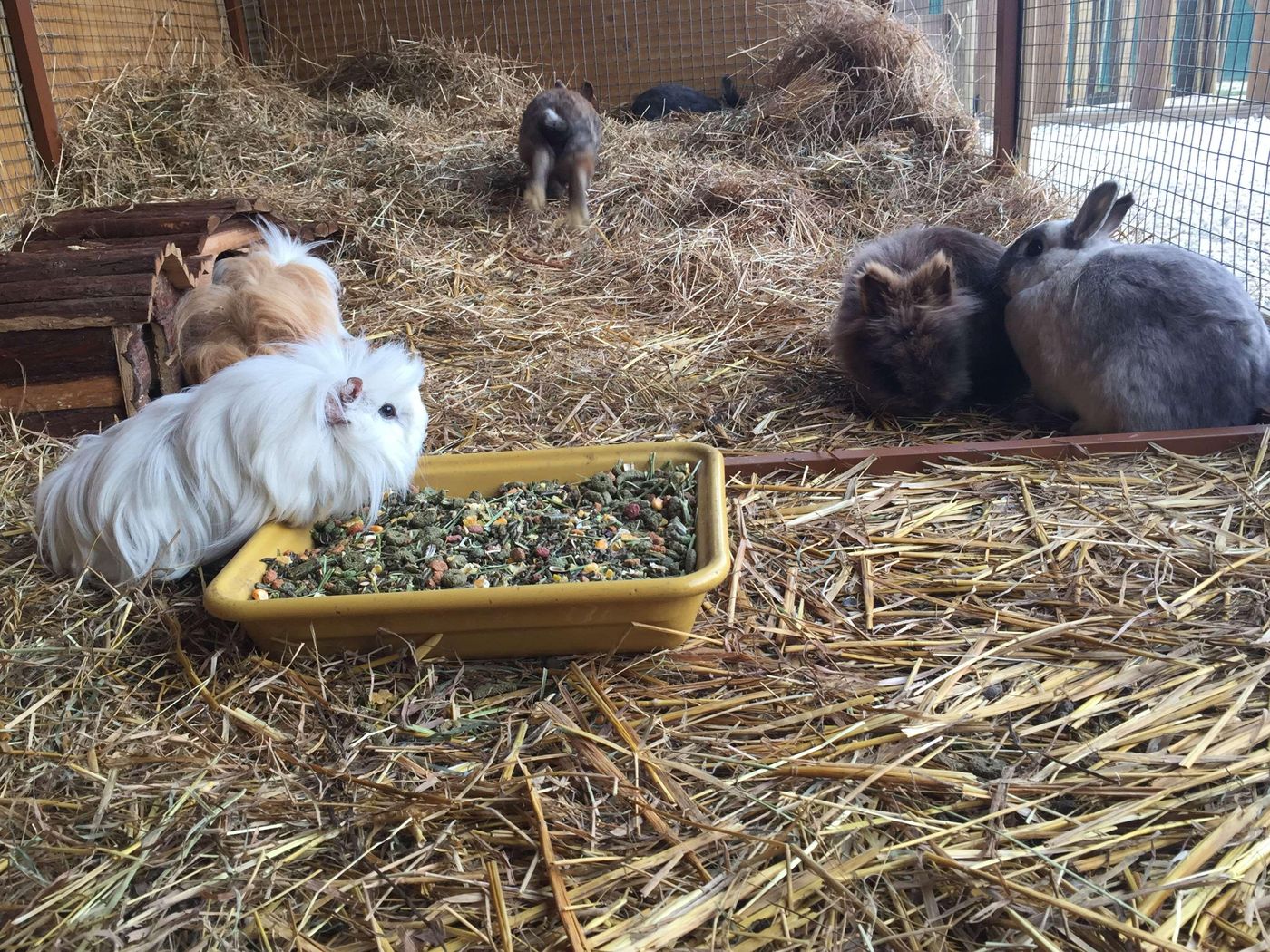 Campanile-Val-de-France-Ex-Kyriad-Disneyland-Sports-and-Entertainment-52