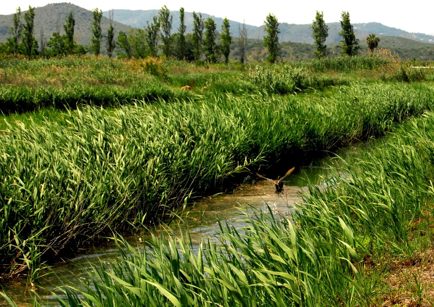 Bellavista-Residential-Sports-and-Entertainment-80