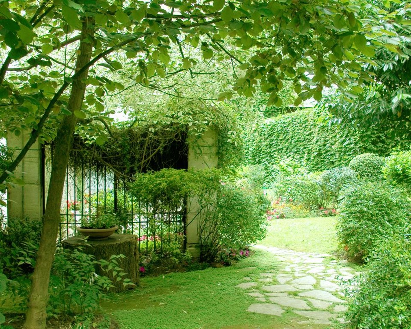 Abaca-Messidor-by-Happyculture-Terrace-46