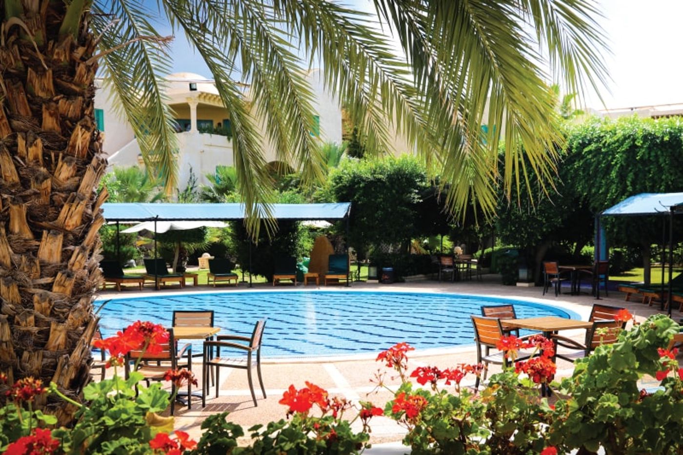 Hotel Suite Les Charmilles-Tunisia-GAMMARTH-General view-6