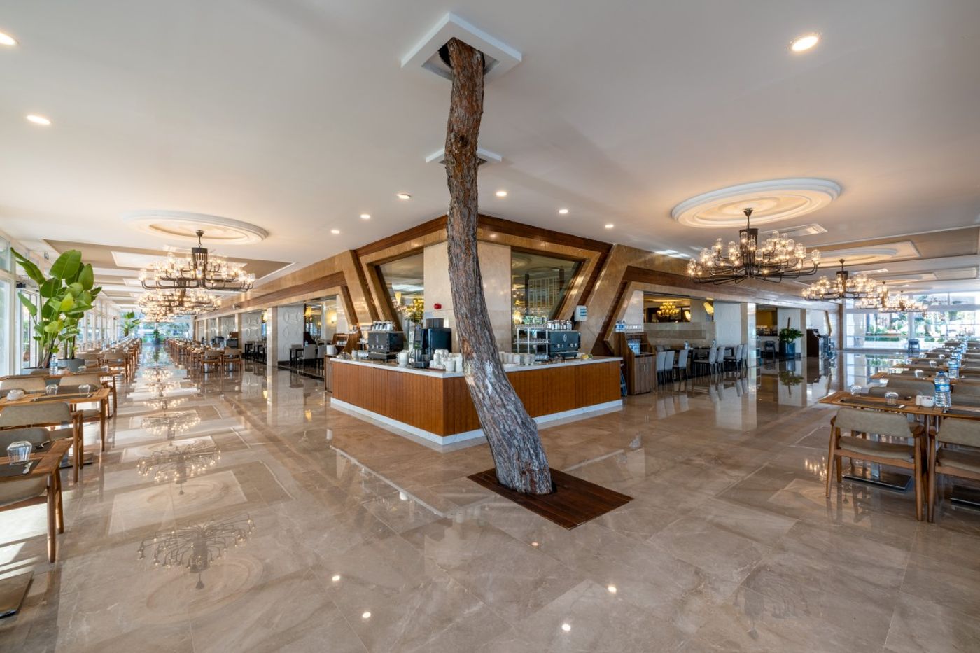 Nirvana Mediterranean Excellence