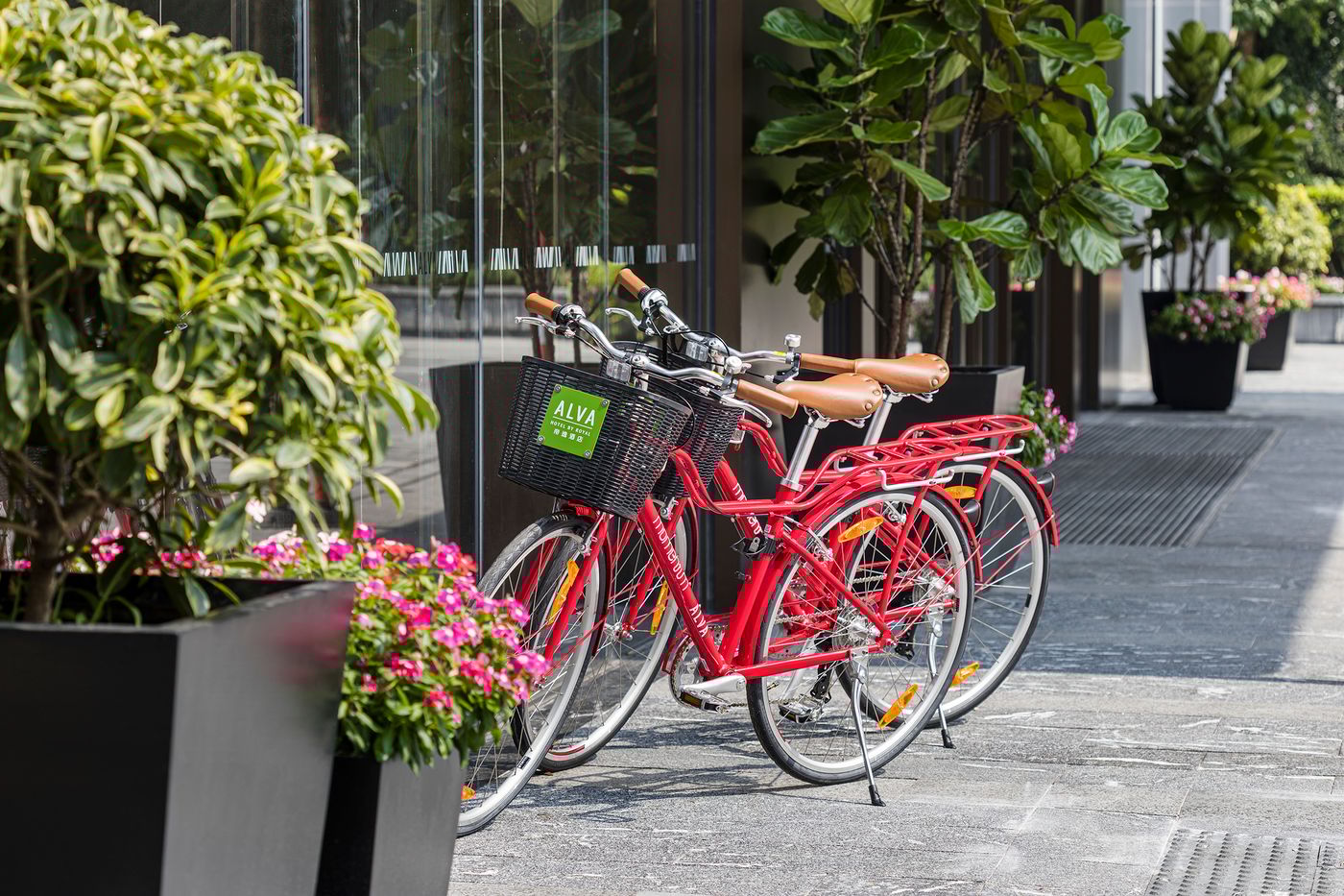 ALVA-HOTEL-BY-ROYAL-Sports-and-Entertainment-5