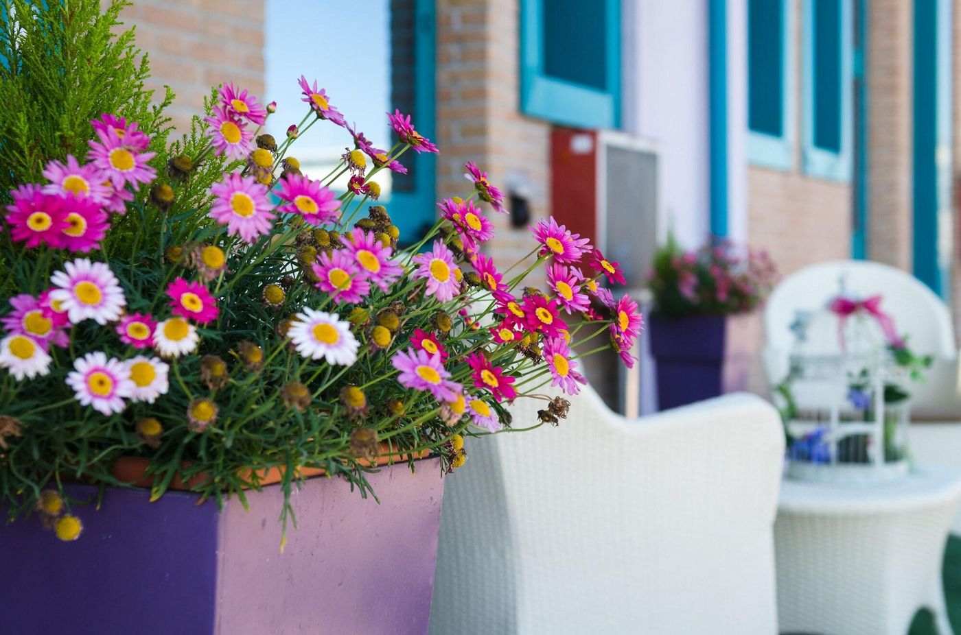 Hotel Luna Blu - Italy - Cento - General view - 3