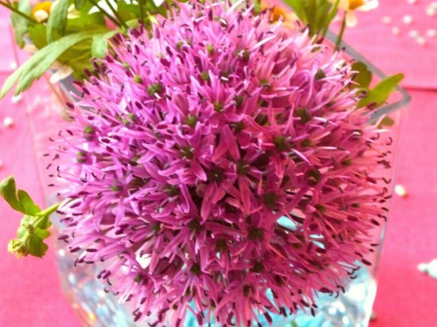 Lüthemühle - Germany - NETTETAL - Lobby - 3