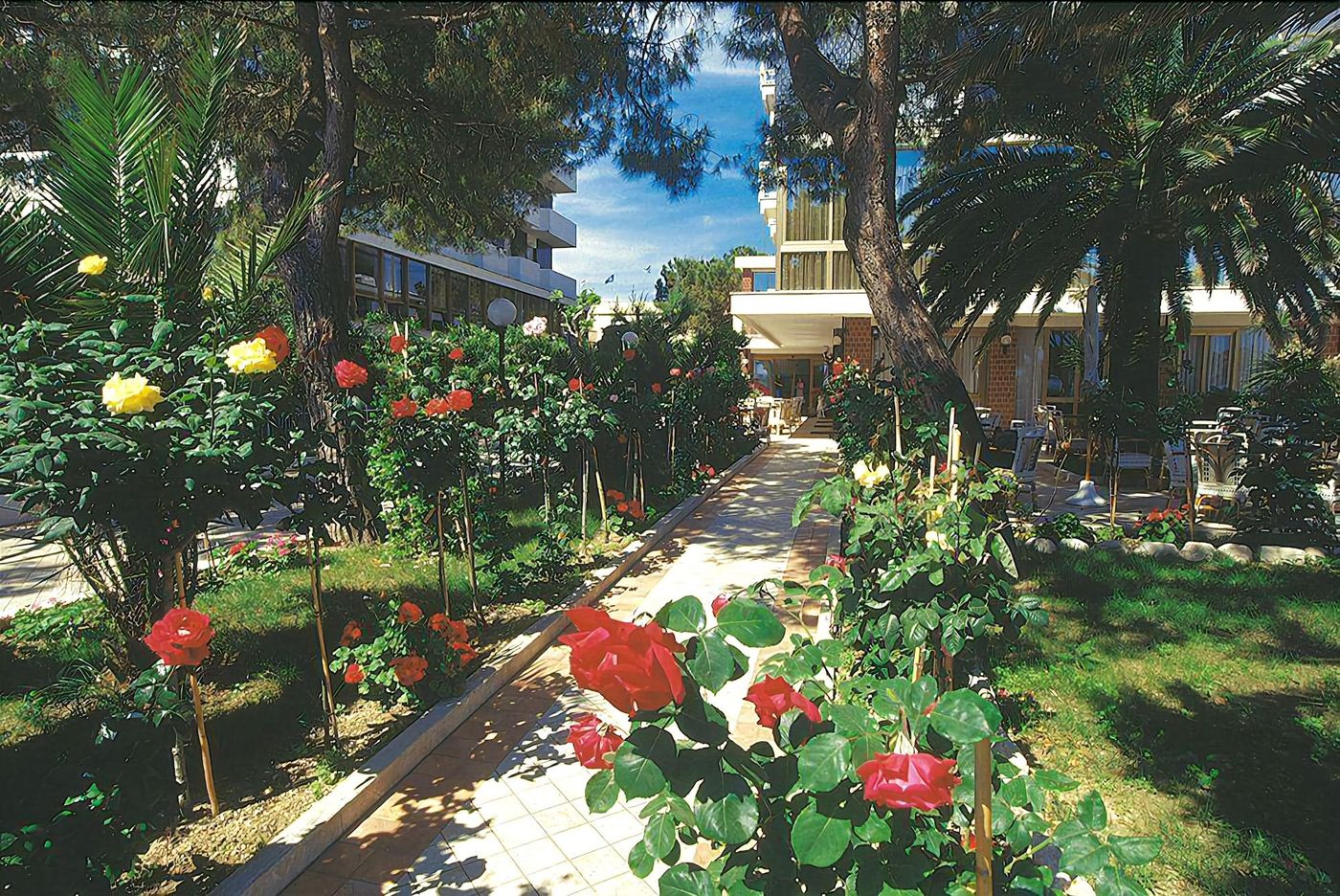 Hotel-Corallo-General-view-24