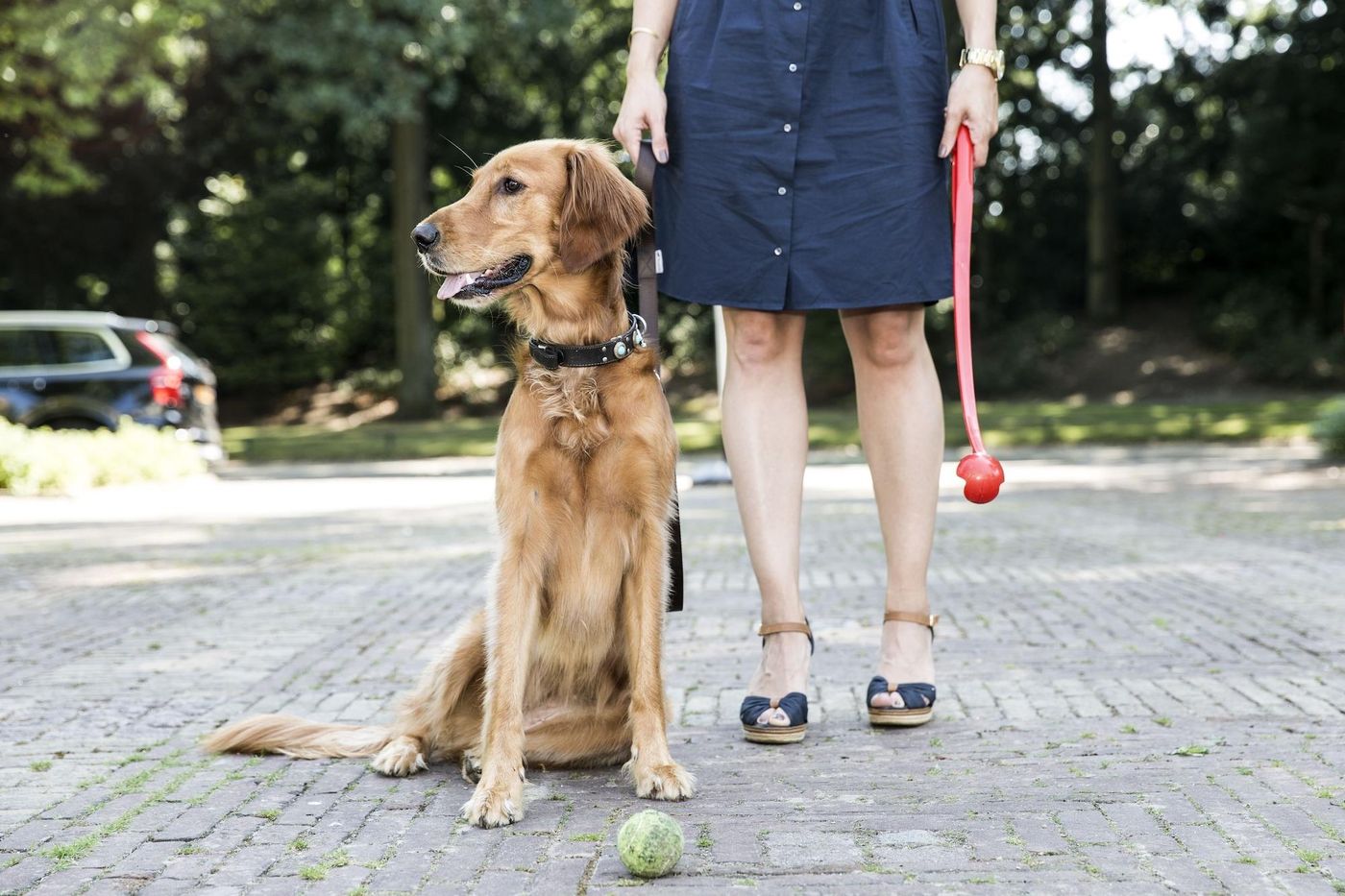 Parkzicht-Netherlands-EINDHOVEN -Room-10