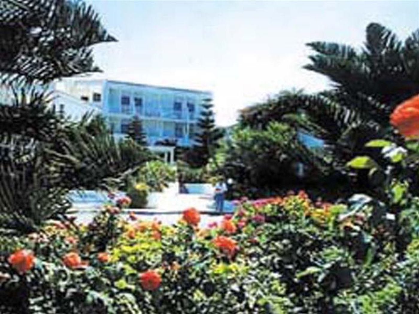 Lambi-General-view-6