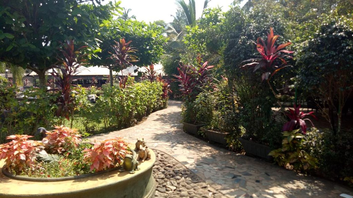 Primo Bom Terra Verde