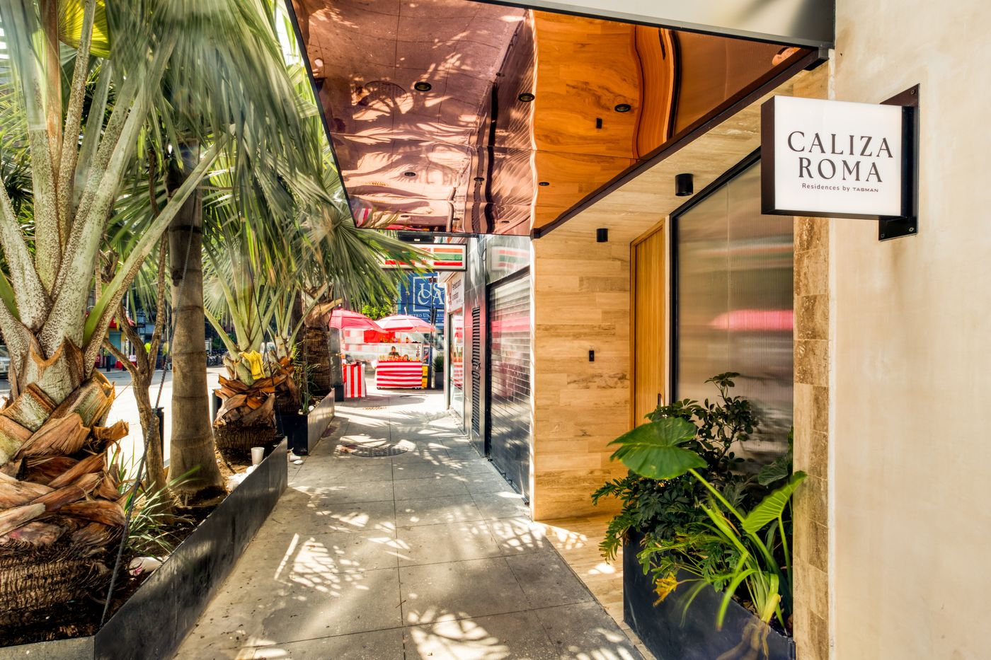 Caliza Roma-Mexico-Ciudad de México-General view-4