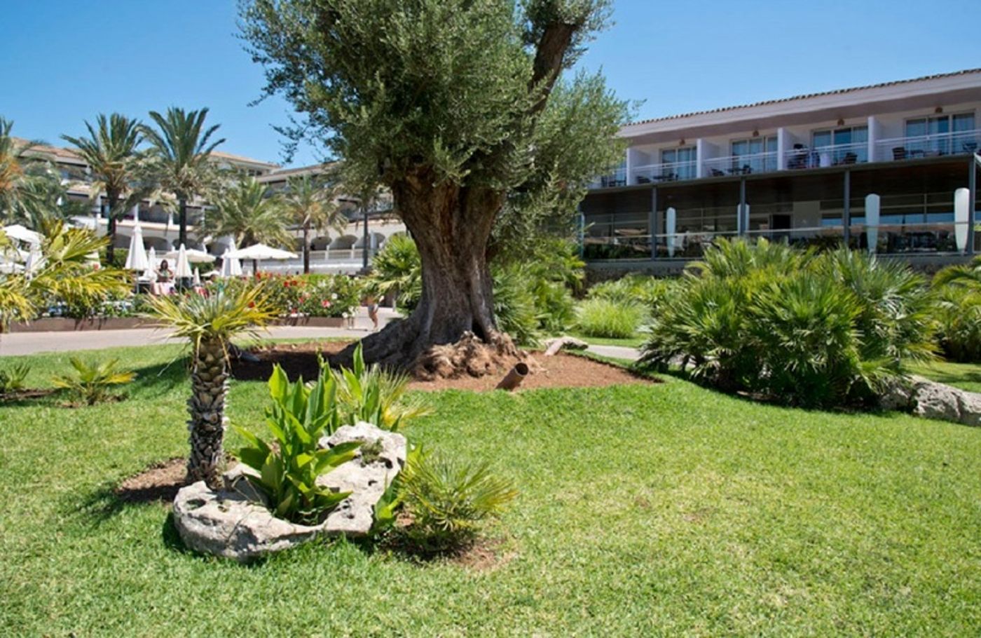 Beach Club Font de Sa Cala