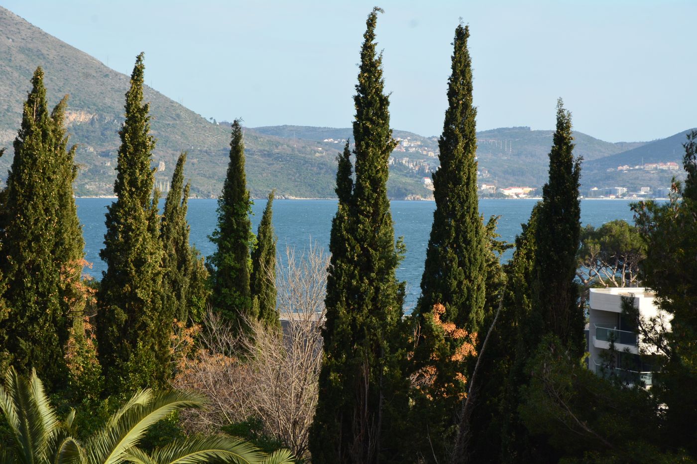 Villa-Avantgarde-BandB-General-view-7