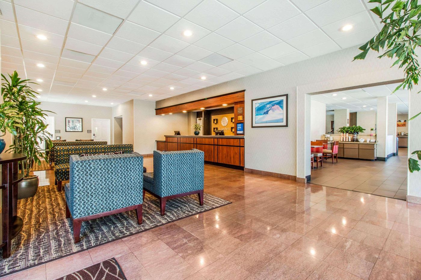 Comfort Inn By The Bay - United States - SAN FRANCISCO - Lobby - 0