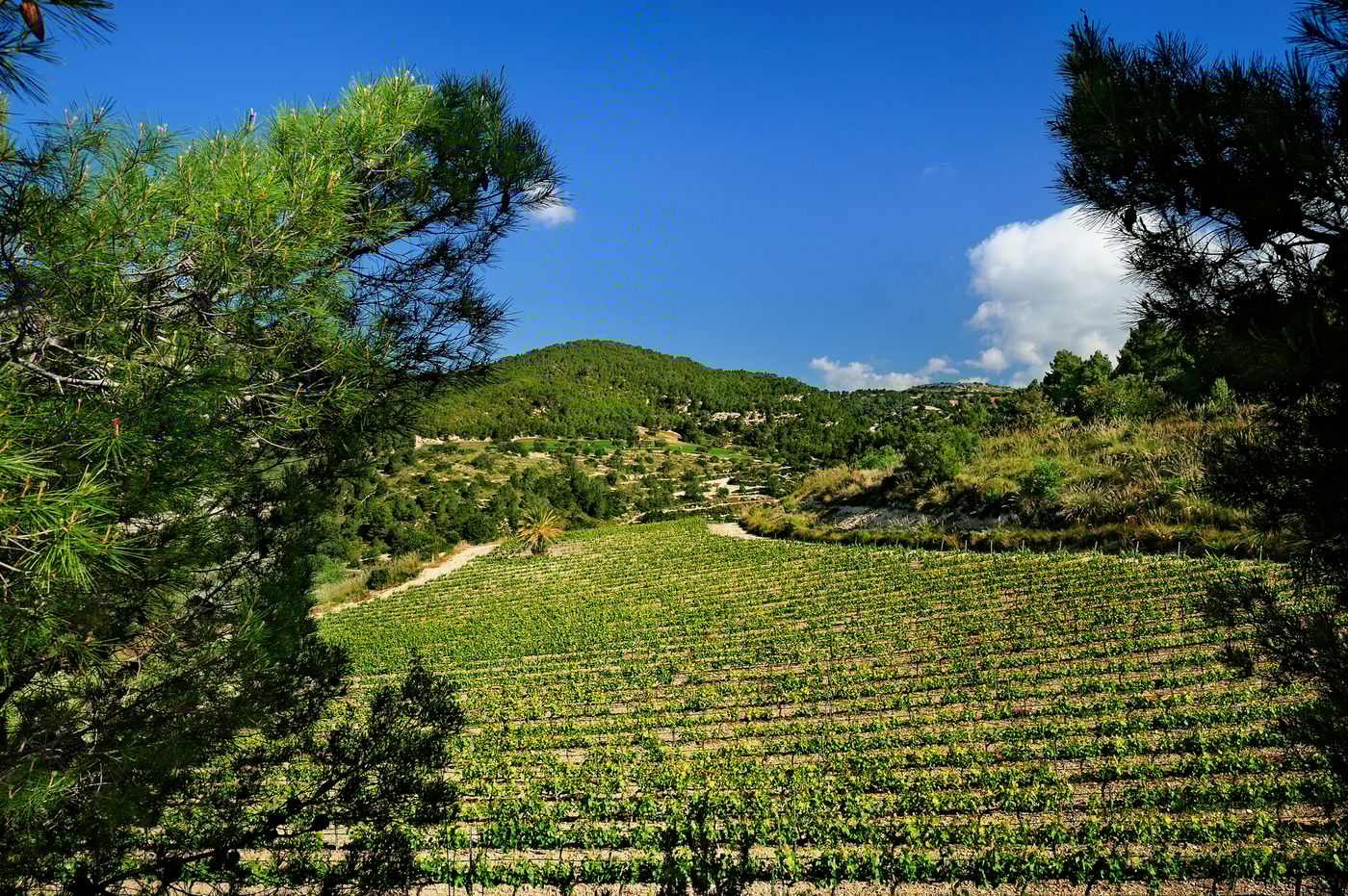 Kallikoros-Hotel-Spa-and-Resort-Room-64