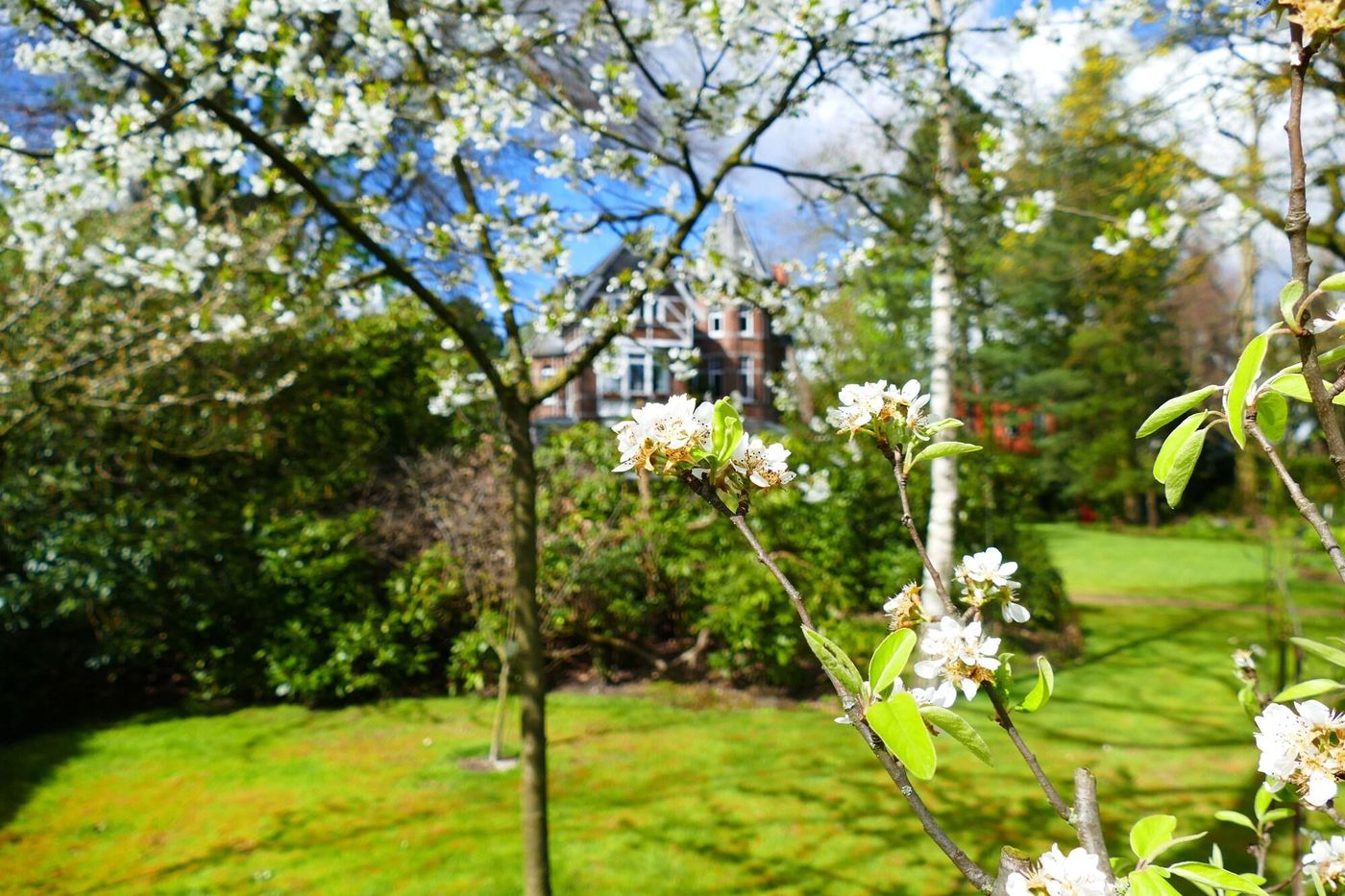 B&B Villa Emma-Belgium-GHENT-General view-4