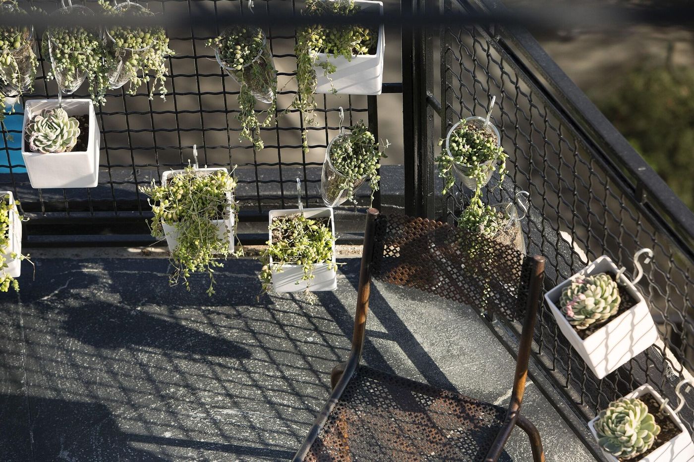 Le-Chat-Noir-Room-11