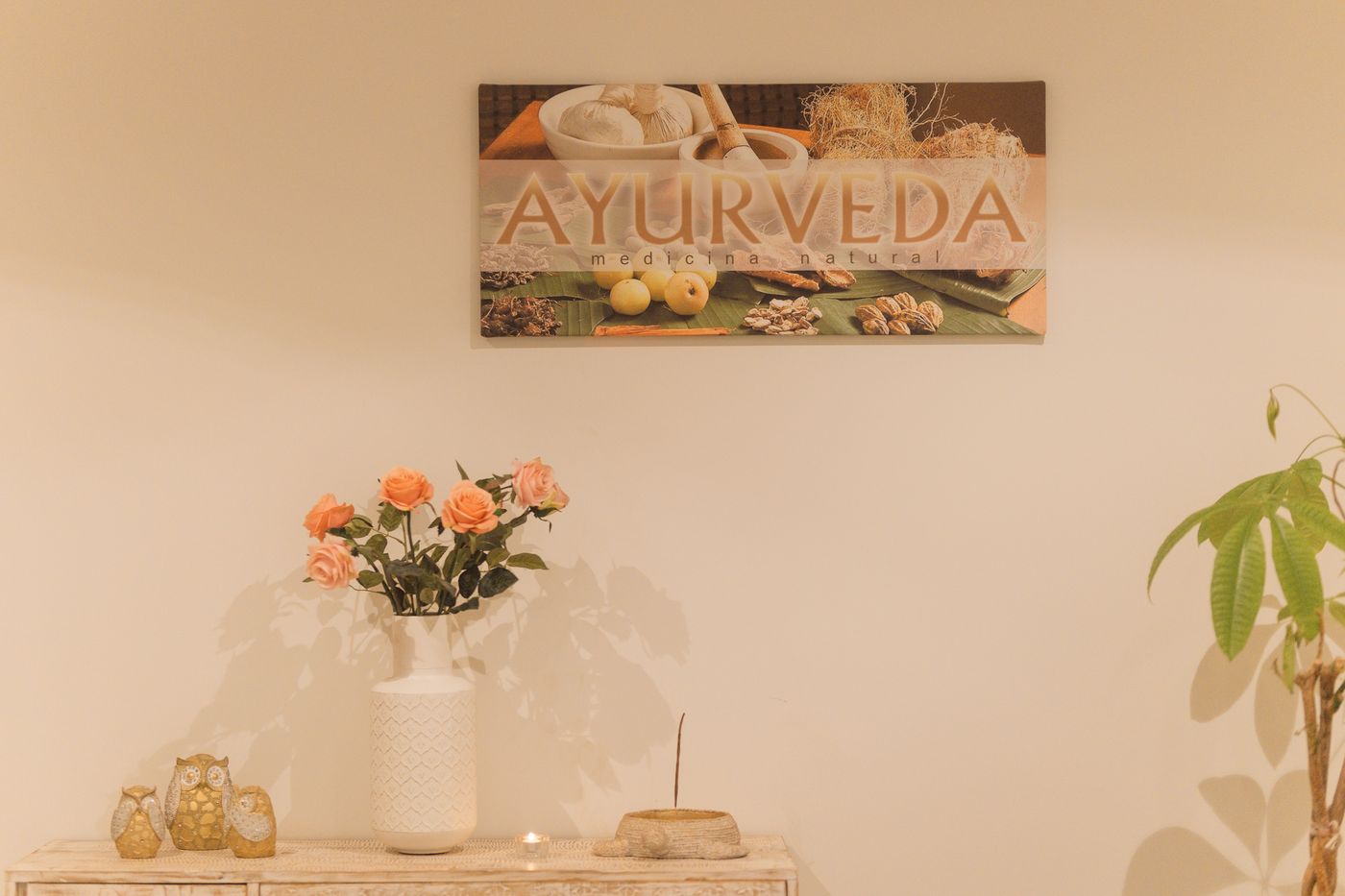 Baobab-Suites-General-view-53