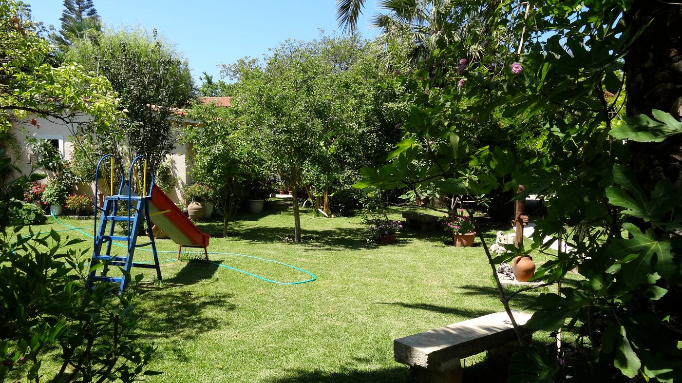 Baha-Ammes-General-view-43