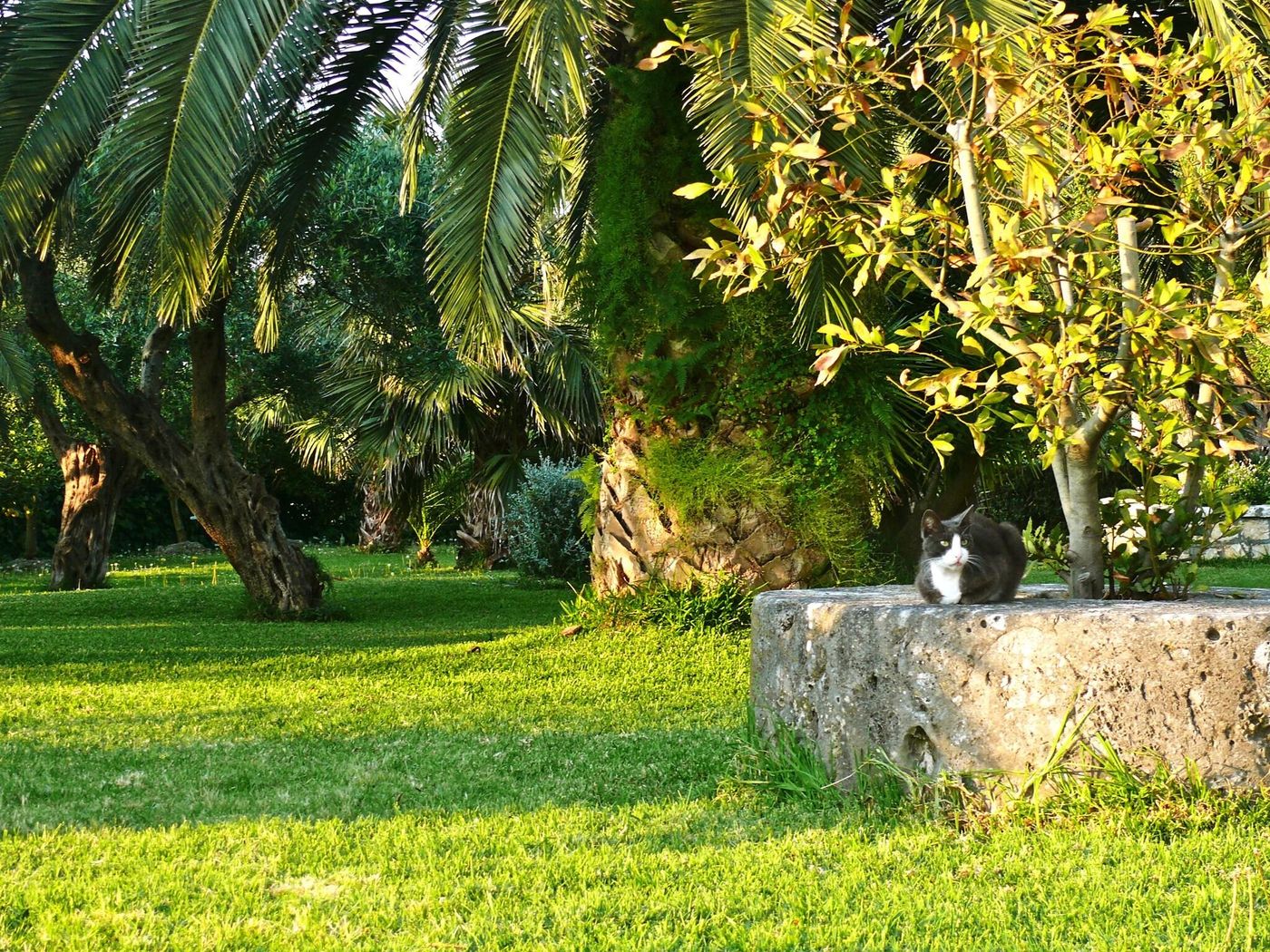 Nefeli-General-view-51