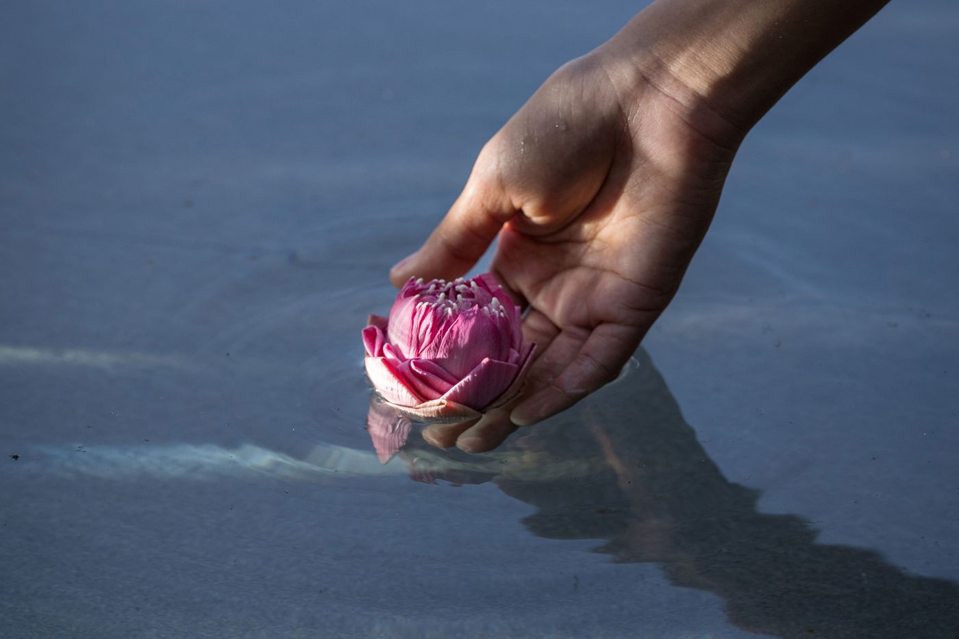 Avista-Hideaway-Resort-and-Spa-General-view-85