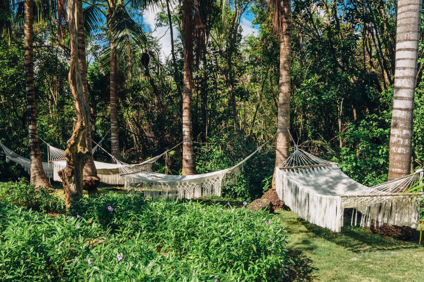 Iberostar Selection Paraíso Maya Suites