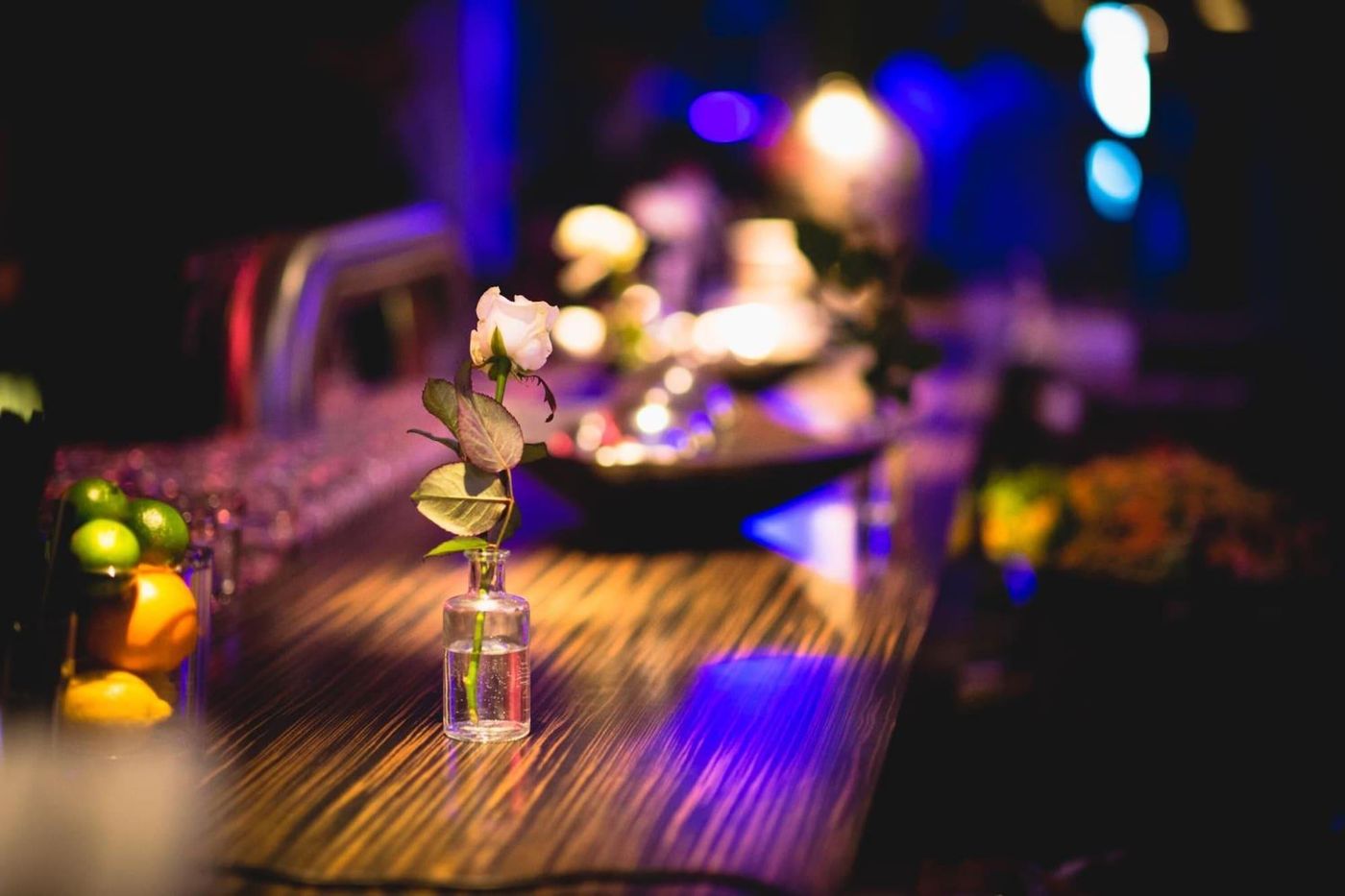 Hotel Rosenmeer - Germany - MOENCHENGLADBACH - Bar - 9