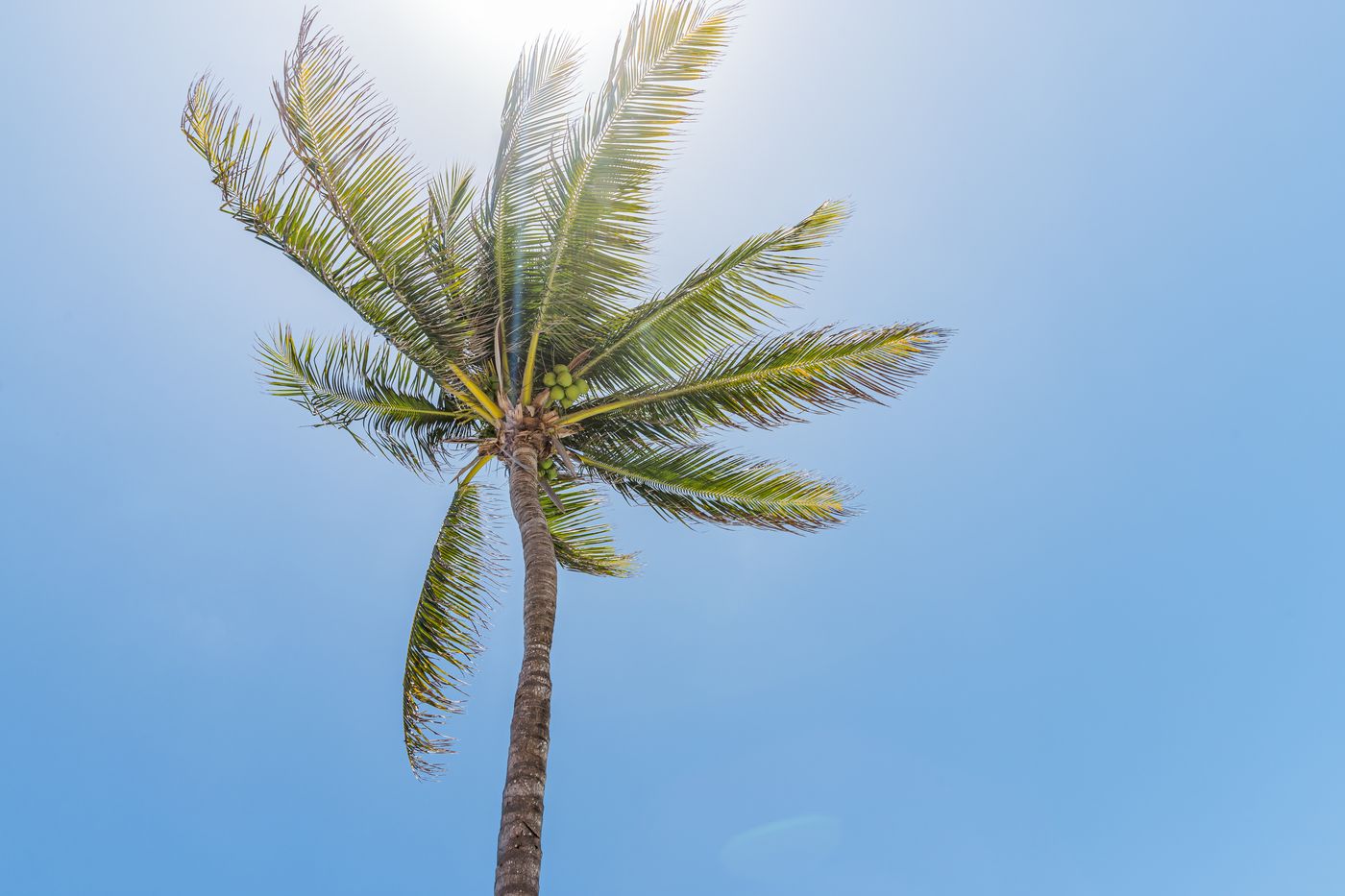 Dreams-Jade-Resort---Spa-Beach-72