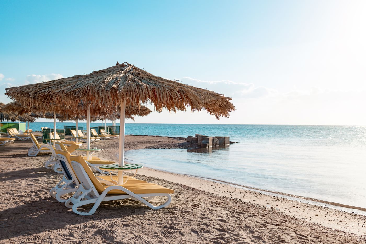 New - Lemon & Soul Makadi Garden