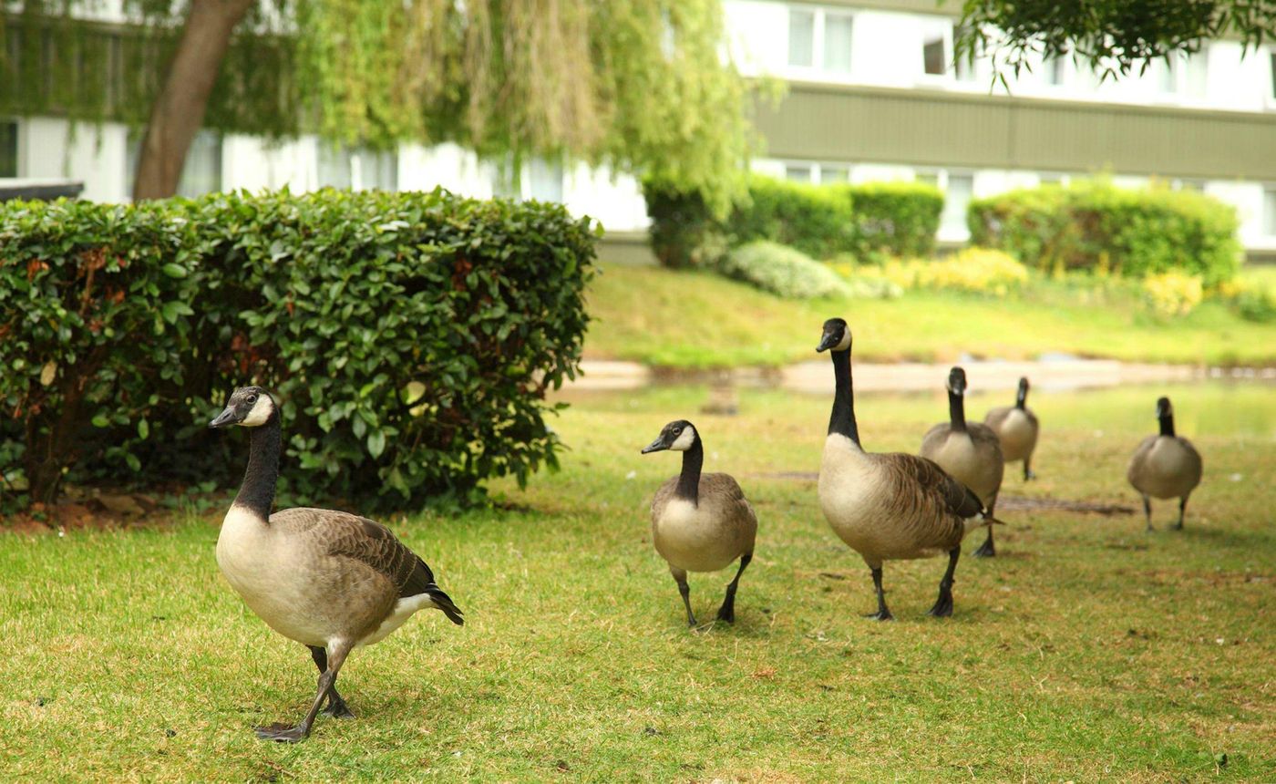 Holiday Inn Bristol - Filton-United Kingdom-Bristol-General view-9