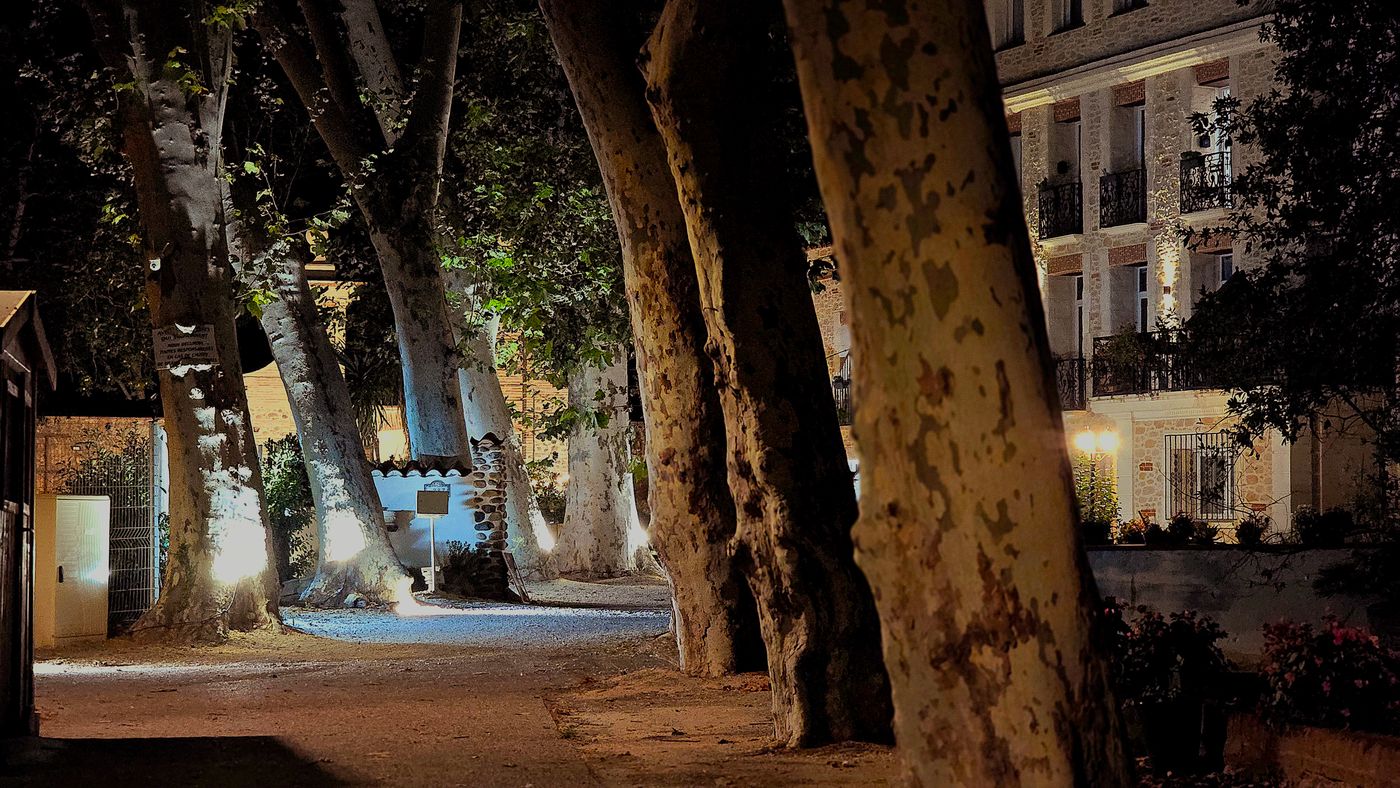 Appart Hotel Spa Perpignan-France-Perpignan-General view-3