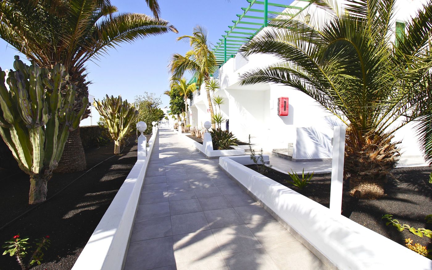 Aloe-General-view-15