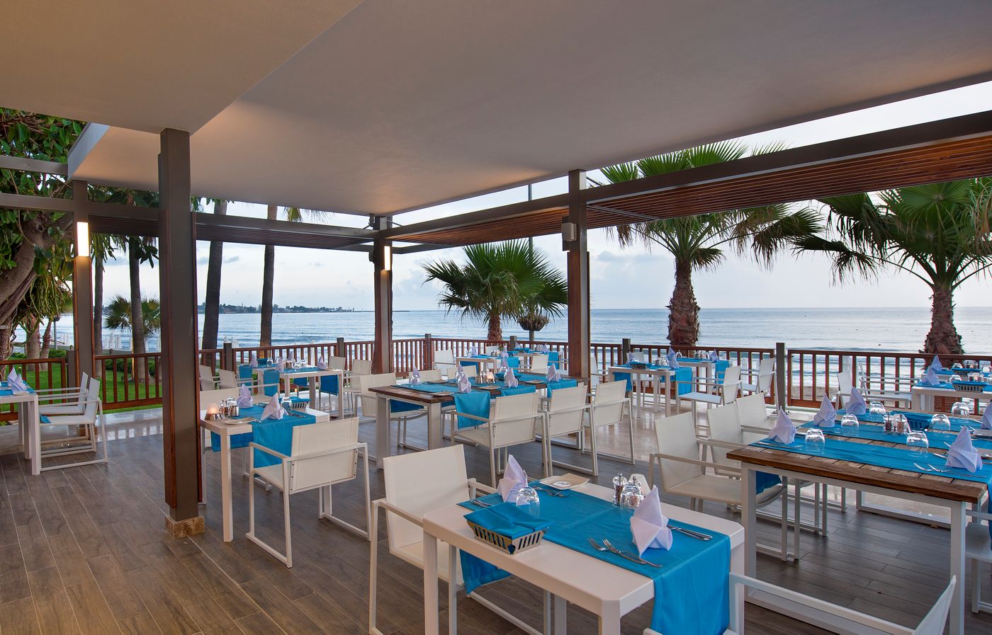 Acanthus Cennet Barut Collection