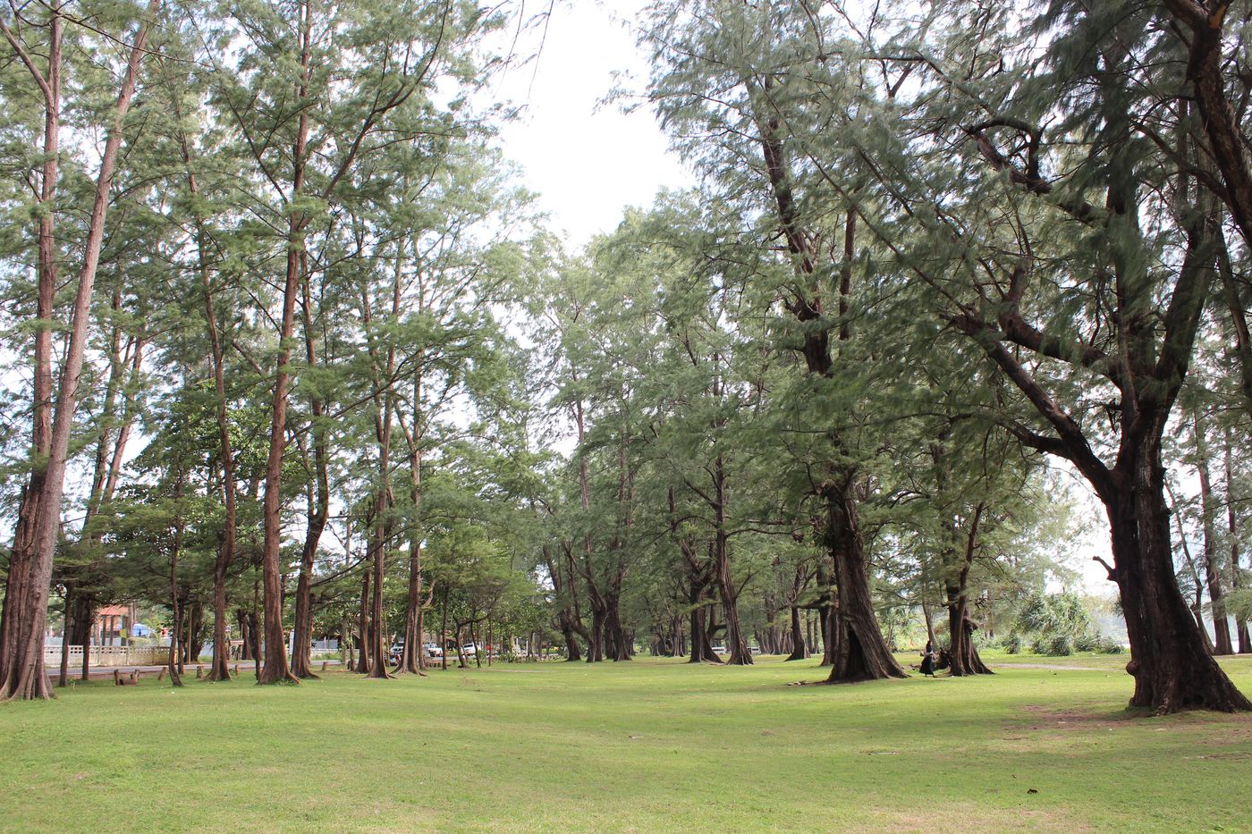 Proud-Phuket-Beach-62