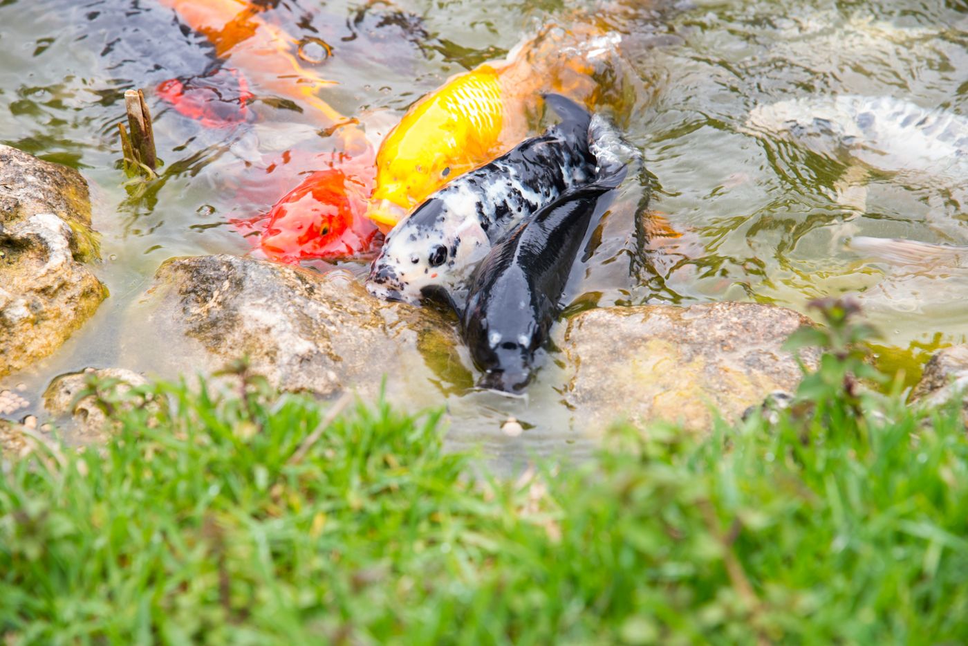 Achtis-Hotel-Terrace-16