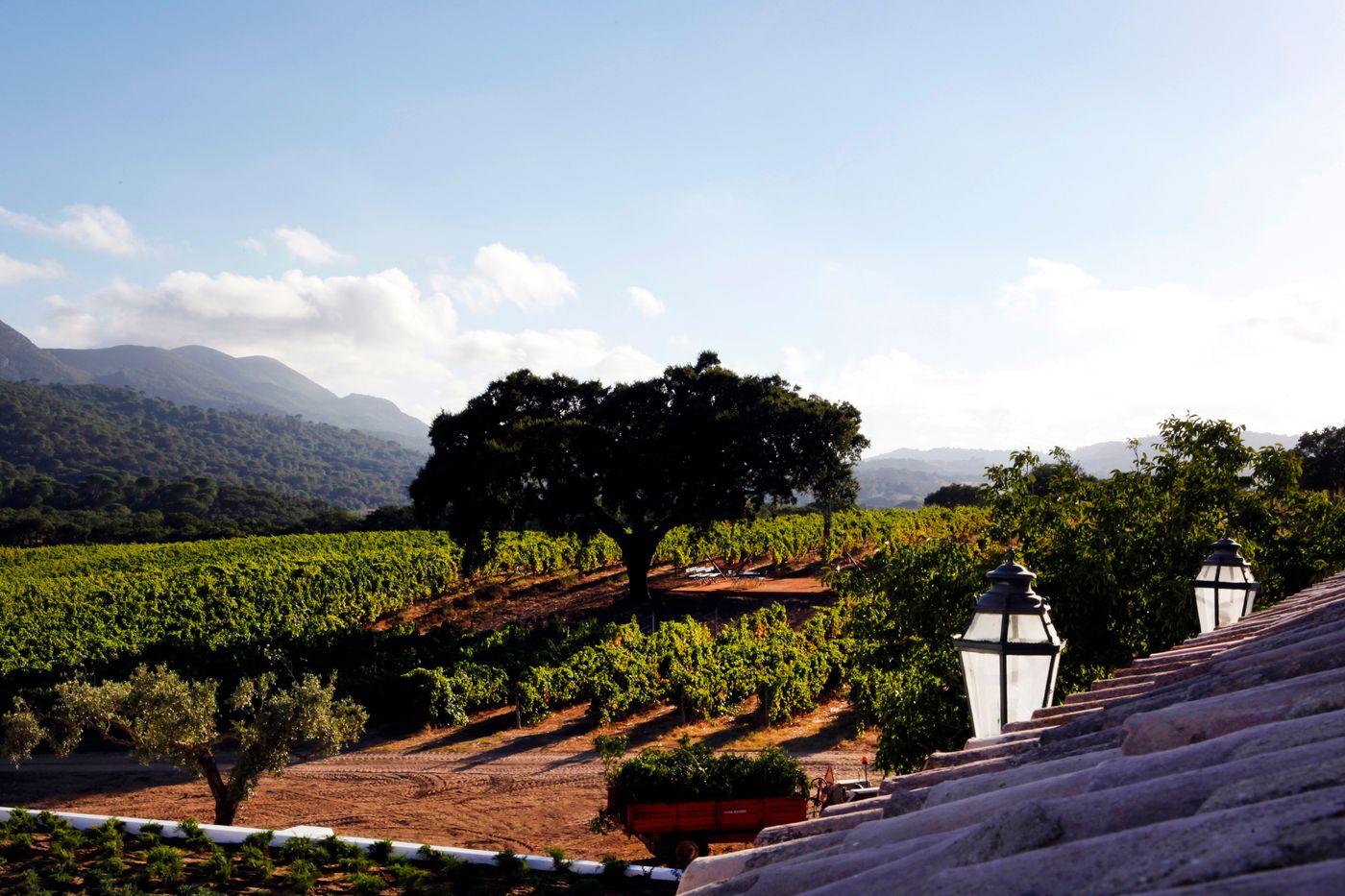 Casa-Palmela---Small-Luxury-Hotels---Villas-General-view-102