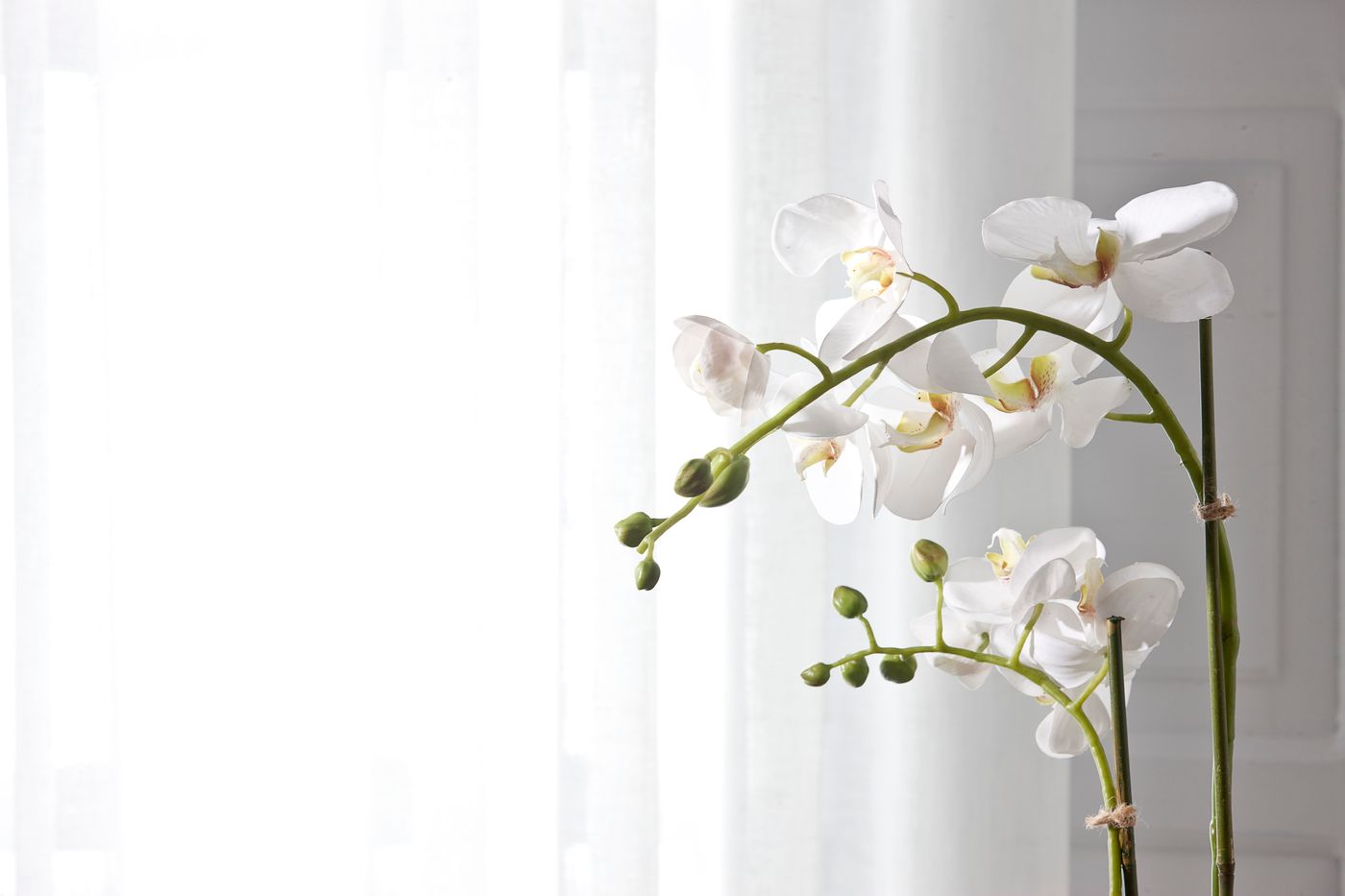 Belvedere-Suites-Lobby-10