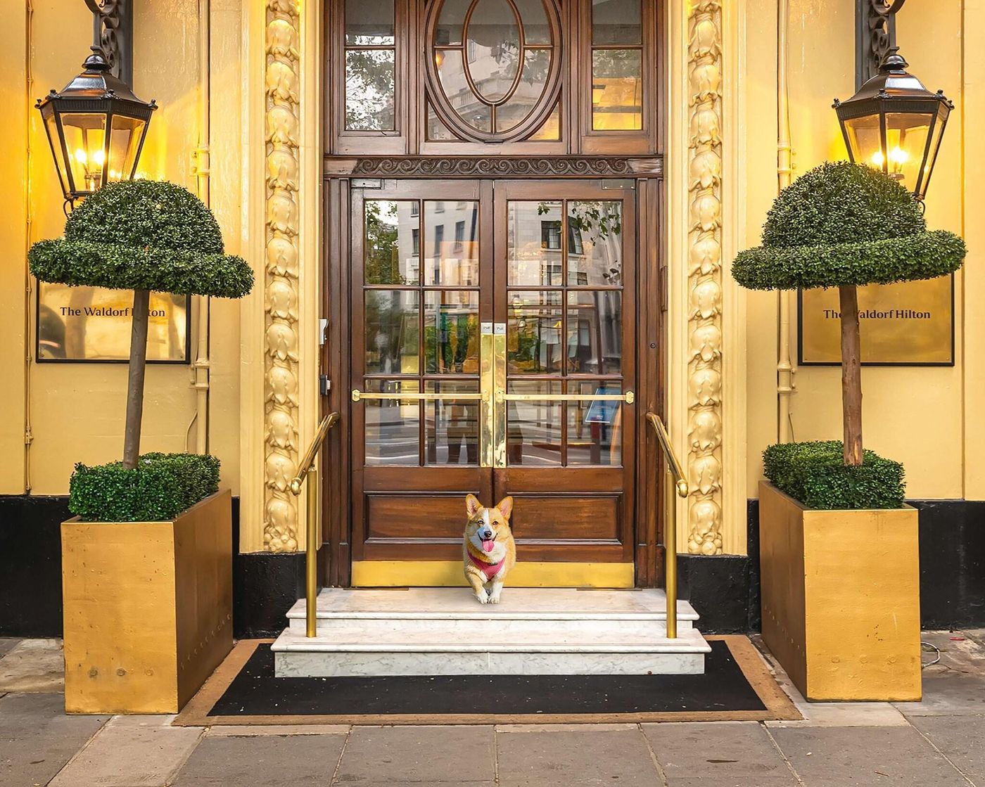 The Waldorf Hilton, London - United Kingdom - LONDON - General view - 4