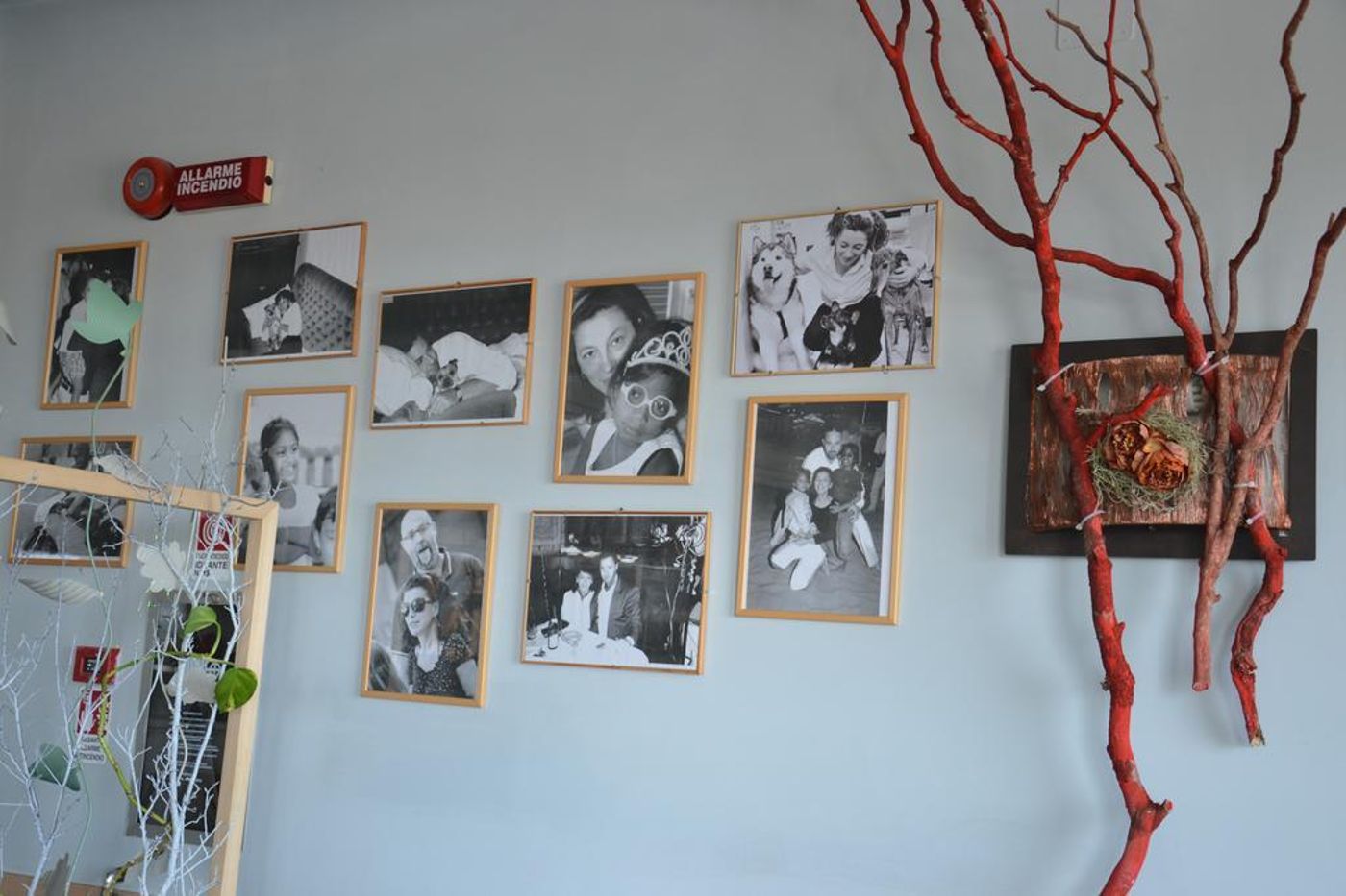 Corallo-Italy-RIMINI-General view-10