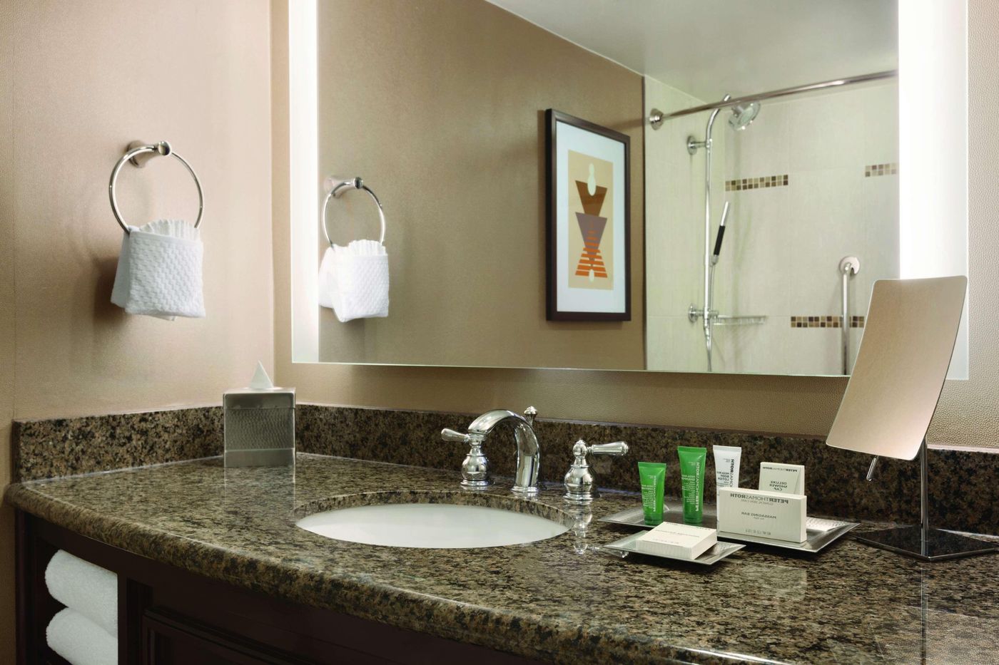 Hilton Arlington - United States - ARLINGTON - Room - 7