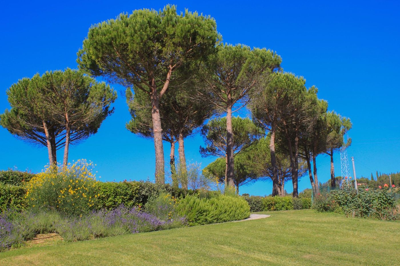 Cavarchino B&B-Italy-GAIOLE IN CHIANTI-General view-4