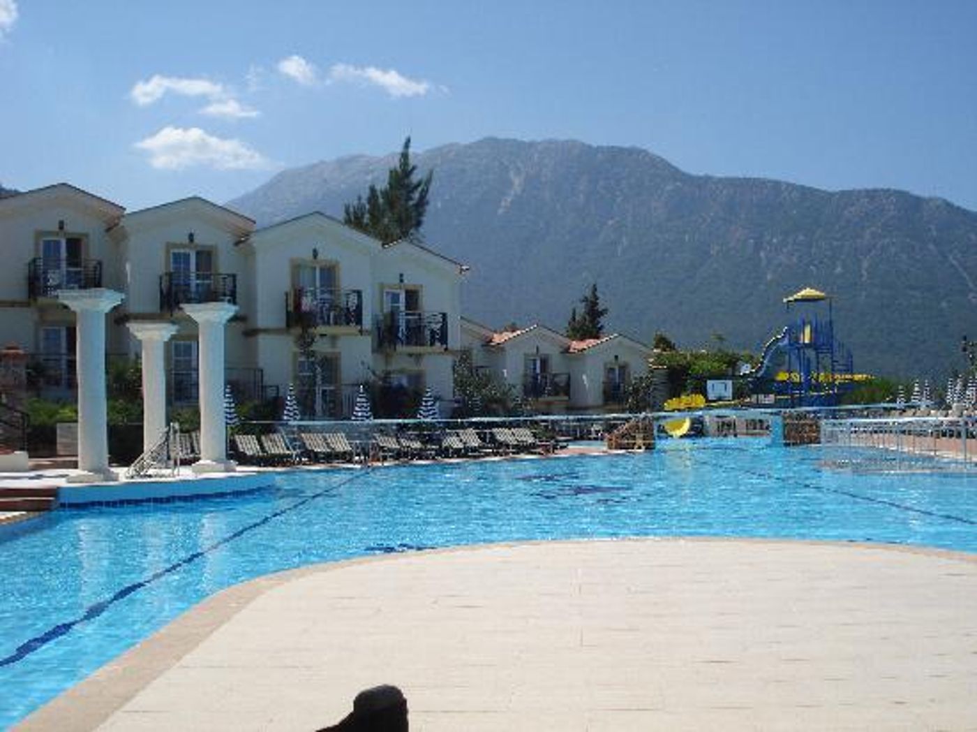 Artemisia Royal Park