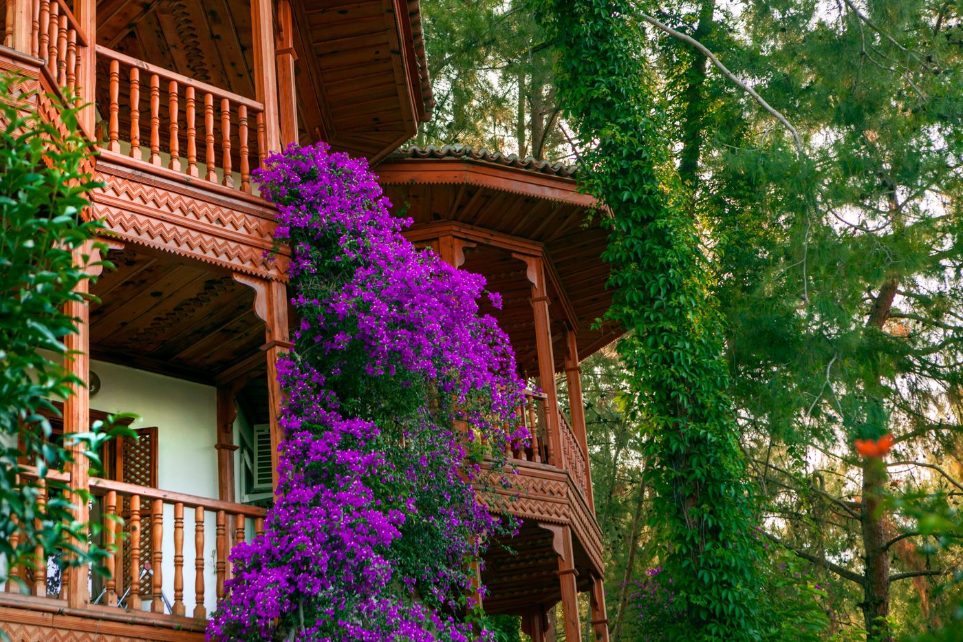 Club-and-Hotel-Letoonia-General-view-14