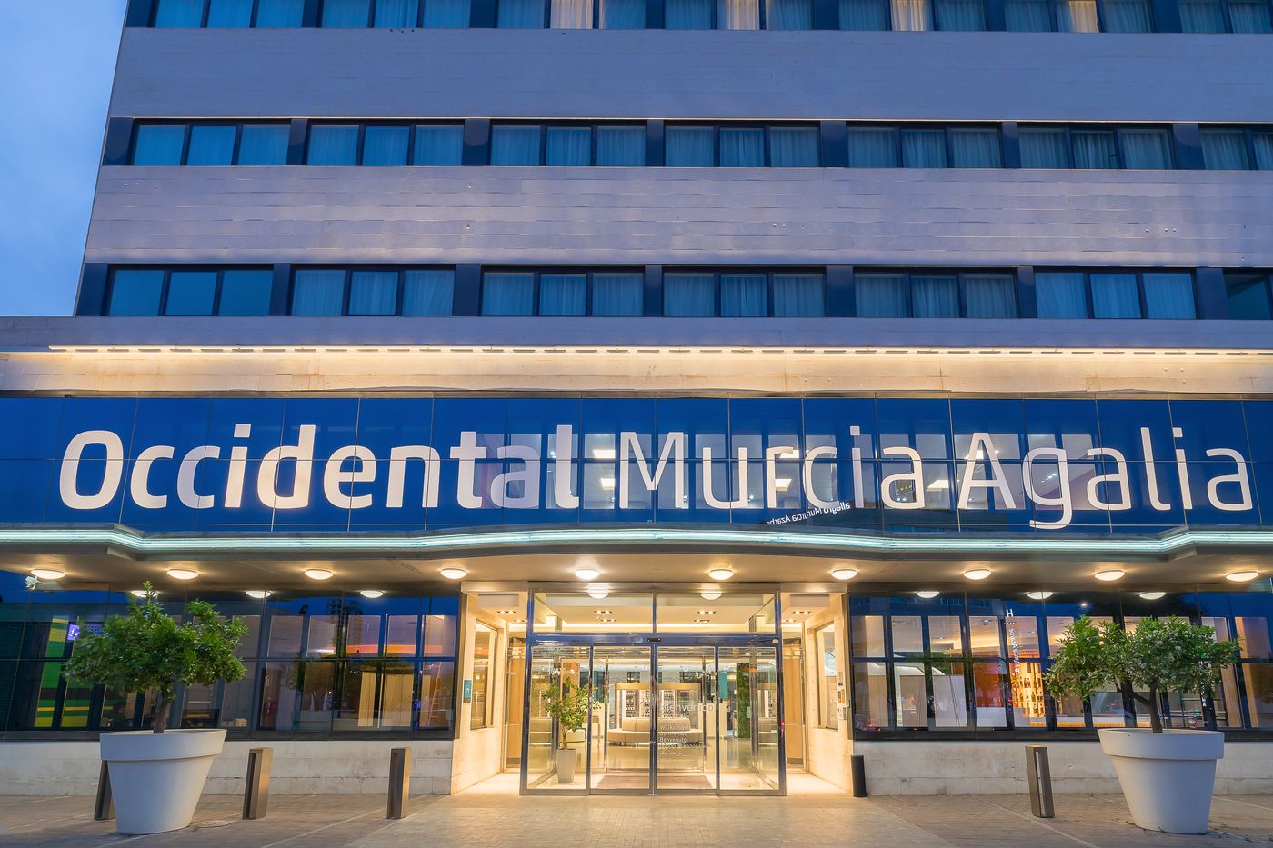 Agalia-Hotel-General-view-14