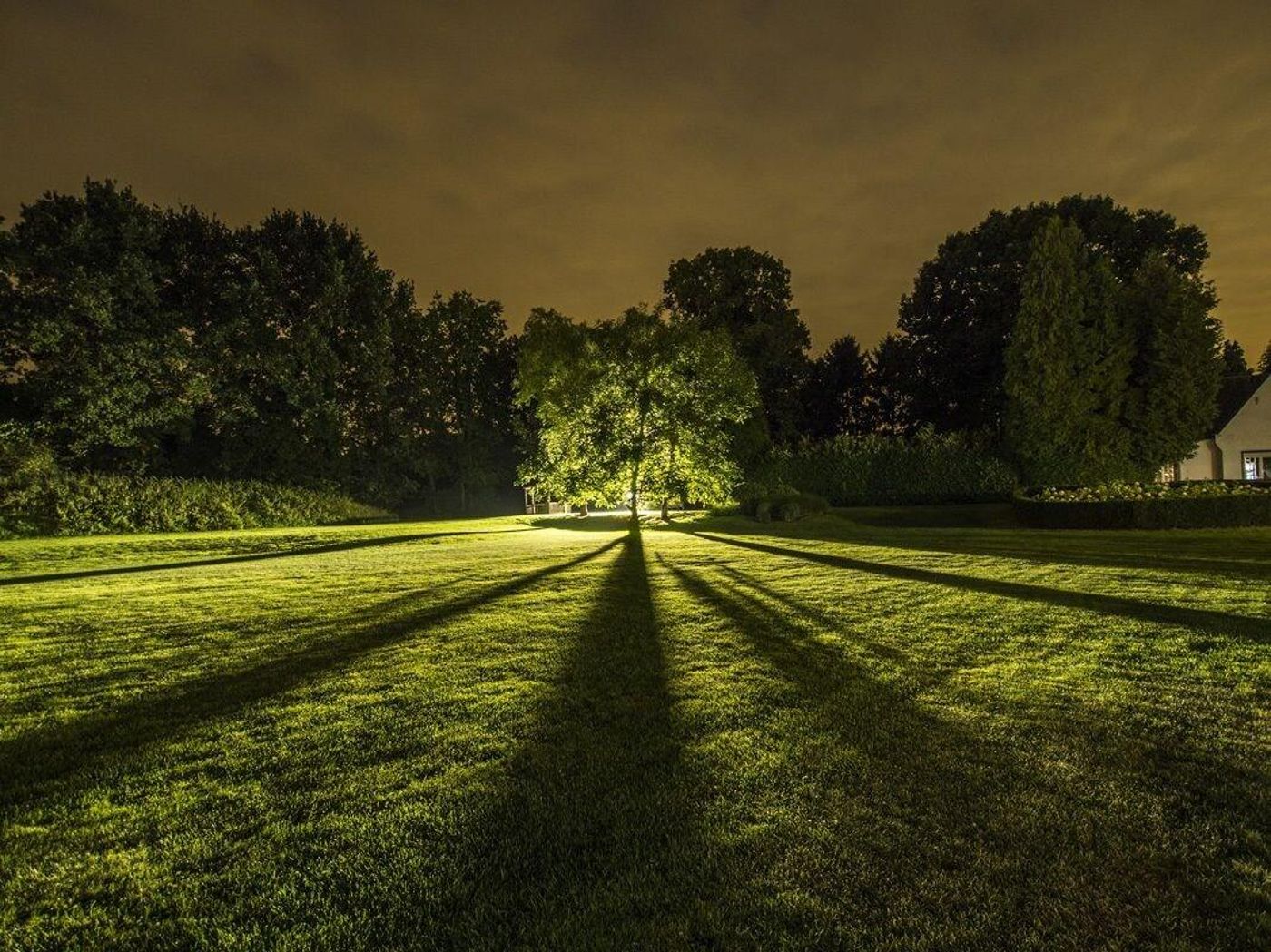Domein Martinus-Belgium-ZOERSEL-General view-3