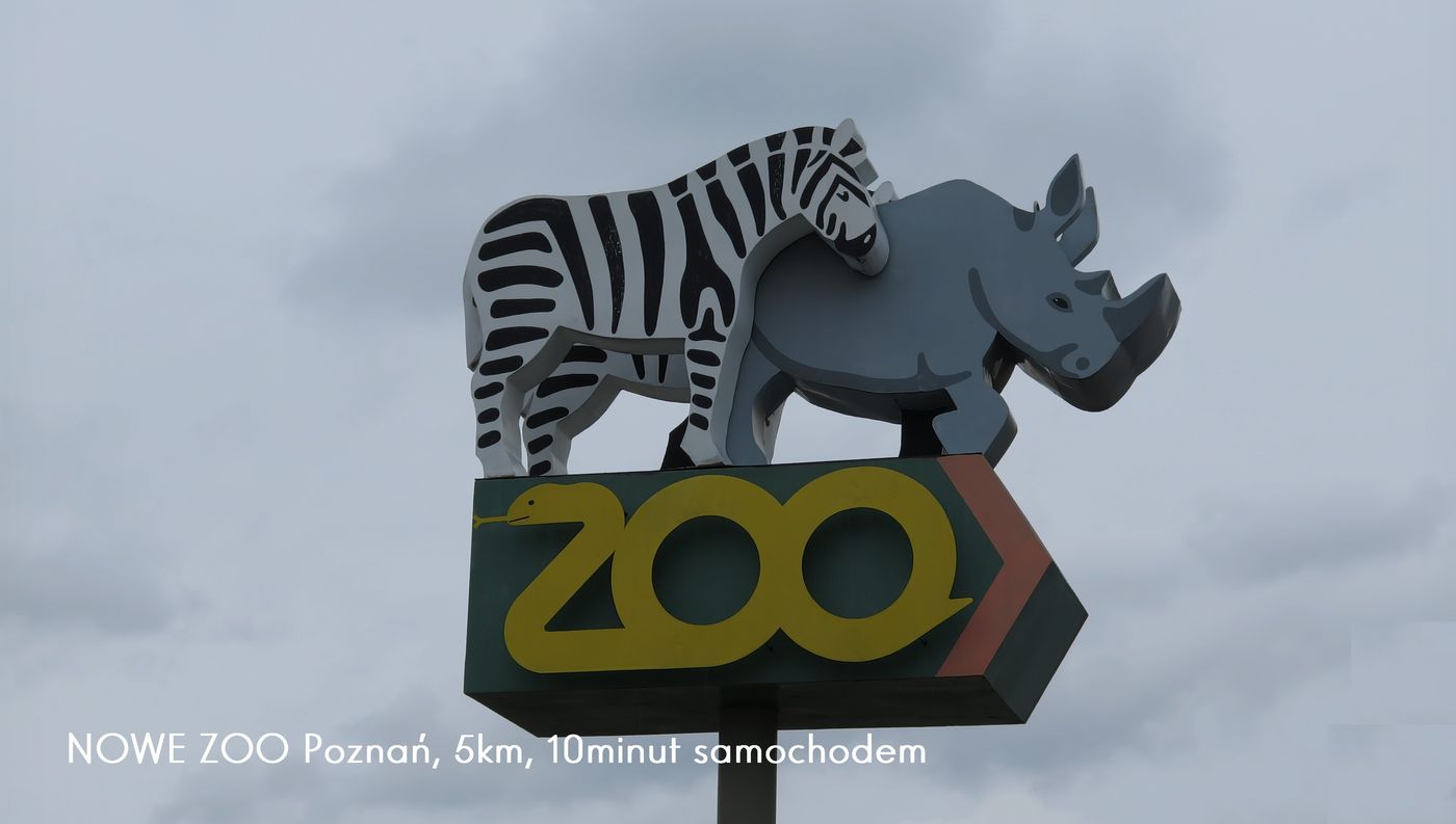 Apartamenty Homely Place Parking-Poland-POZNAN-Sports and Entertainment-6