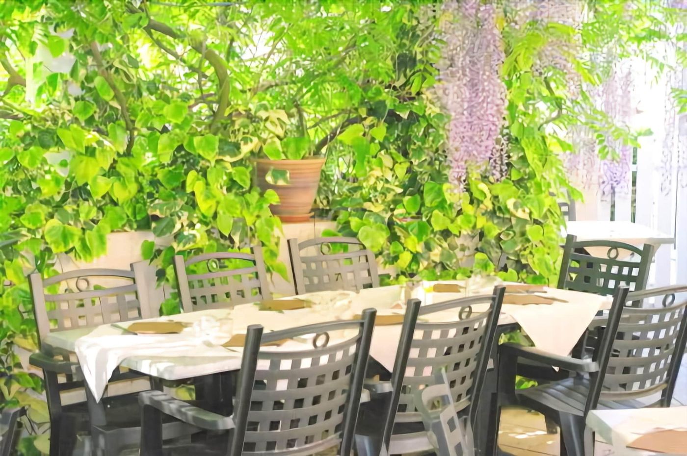 Hôtel du Moulin à Vent - France - VENISSIEUX - Restaurant - 9