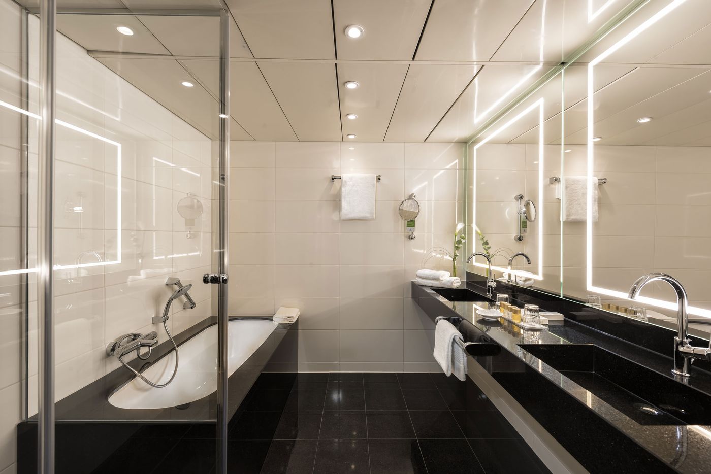 Maritim-Hotel-Bonn-Room-45