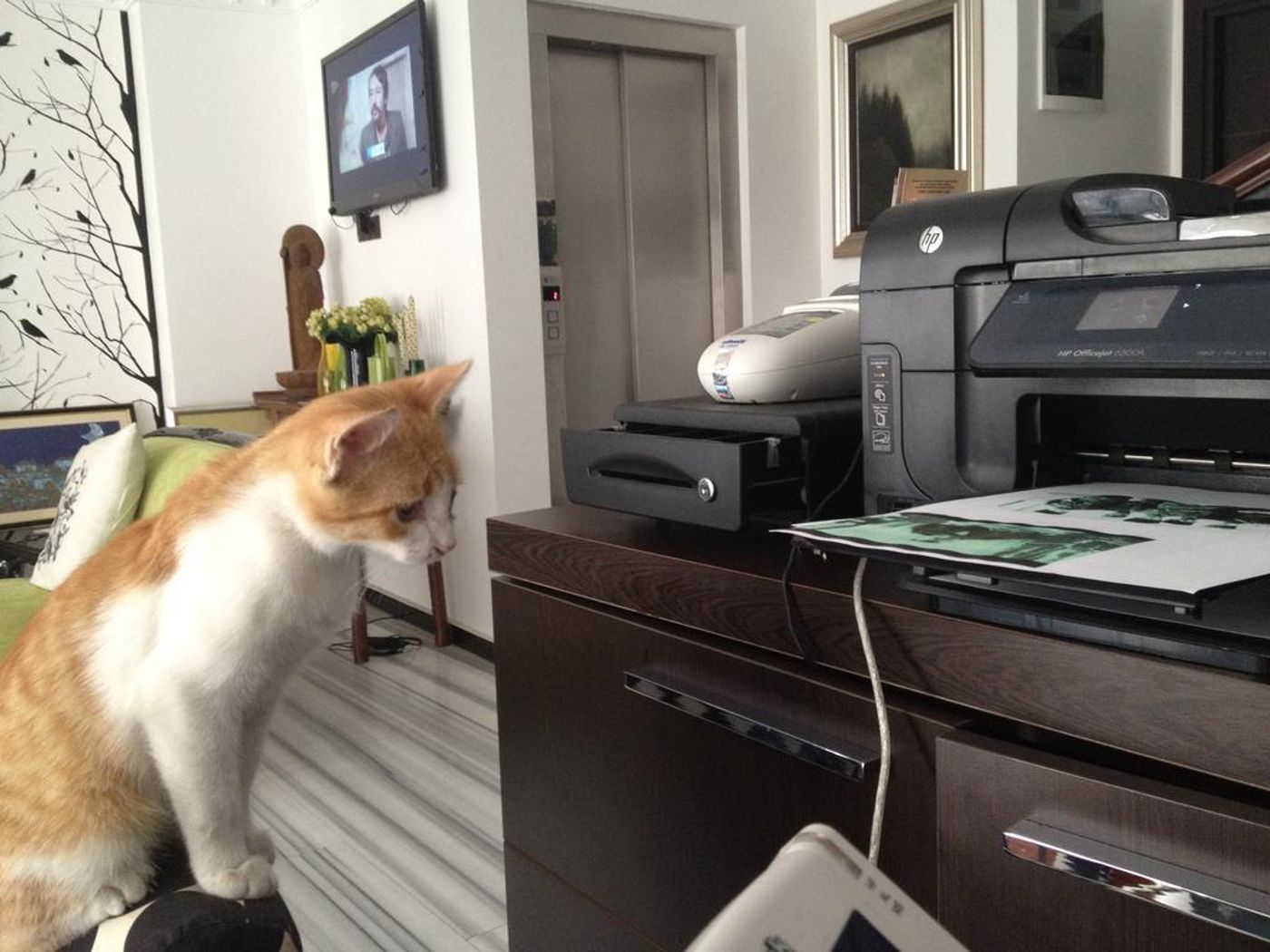 Kumru Hotel-Turkey-Istanbul-Lobby-3