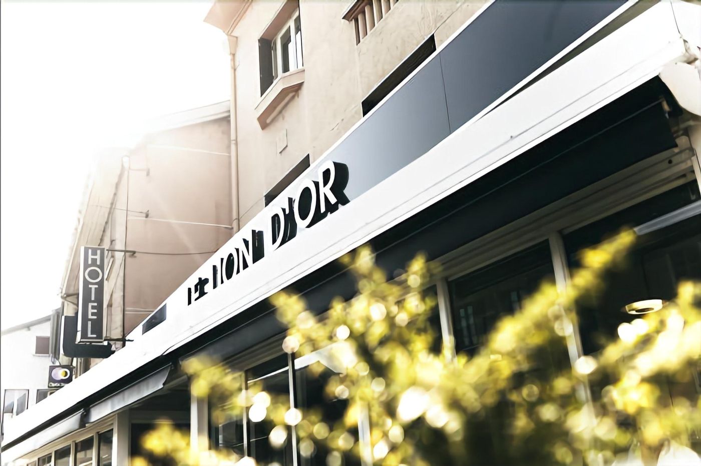 Hôtel Restaurant Le Lion d'Or - France - MEXIMIEUX - General view - 4